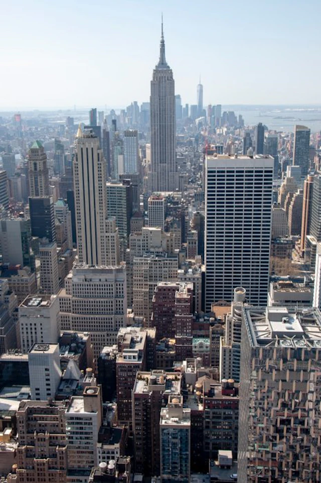 David Law - New York XI (Large Size)