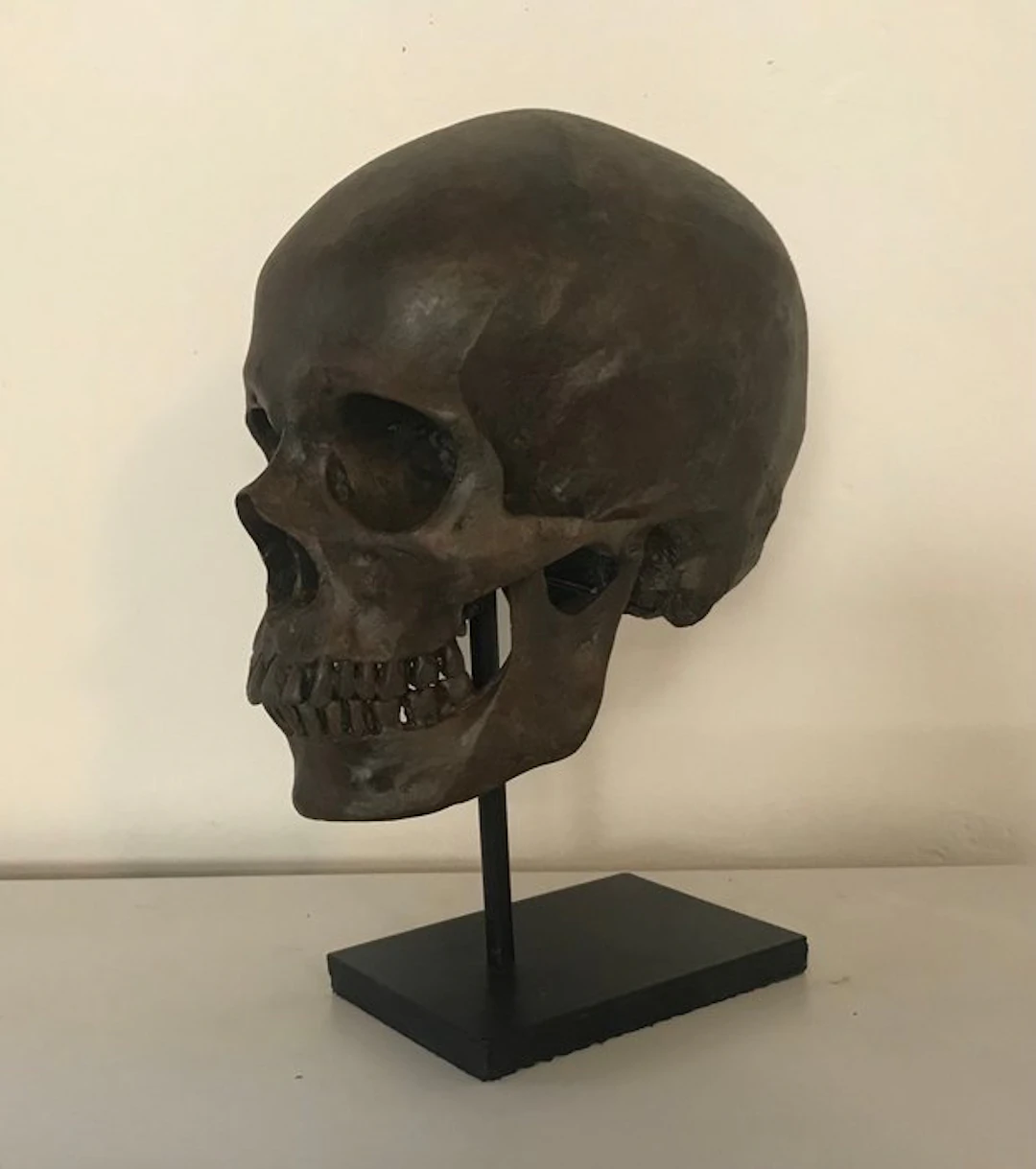 Statue, NO RESERVE PRICE - Human Skull Replica on custom...