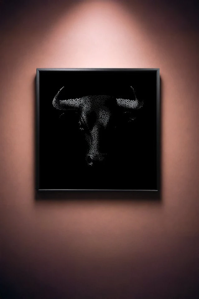 Tijs Dragtsma (1992) - Void. Horns Holding the Dark