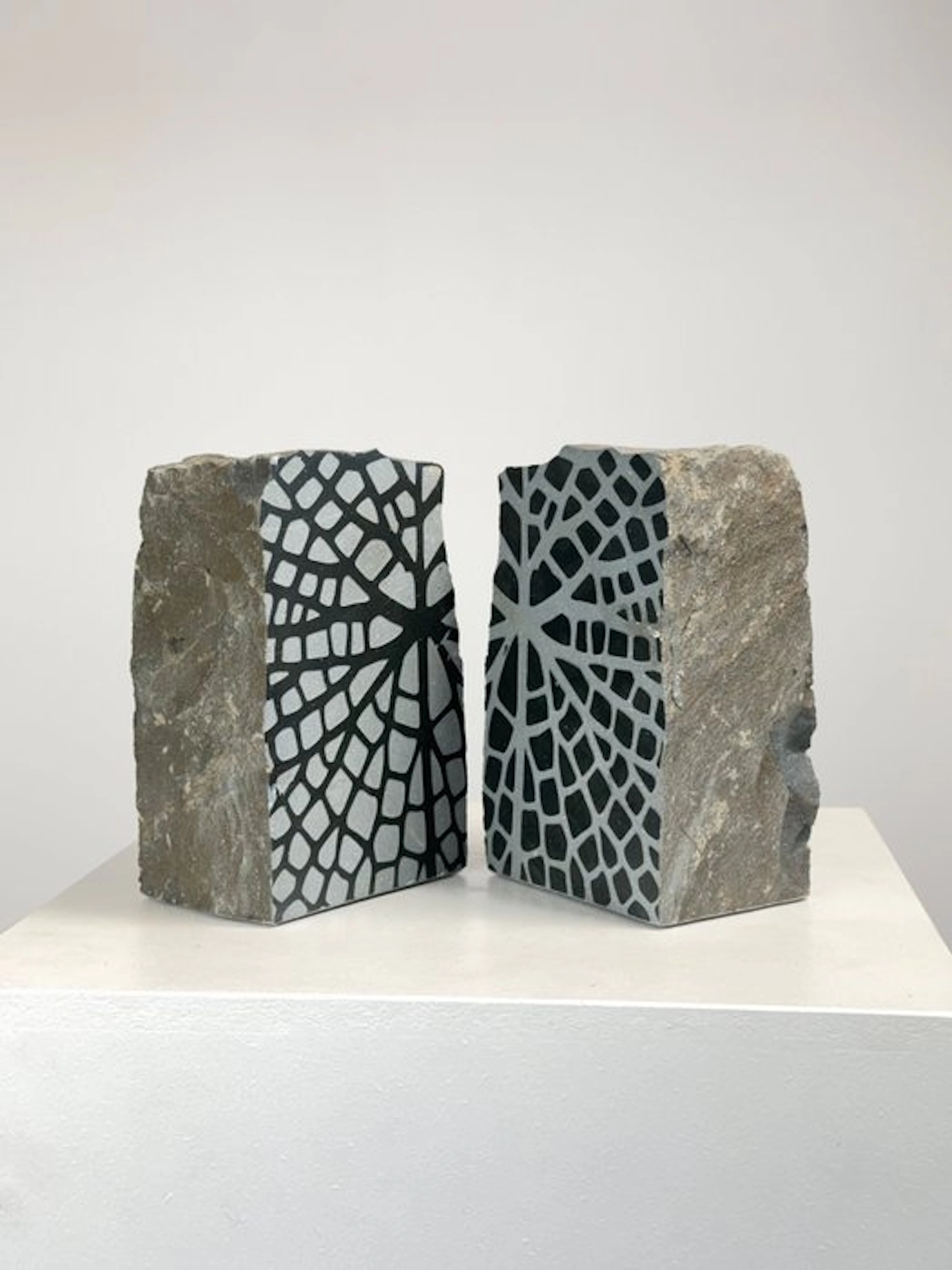 Christoph Jakob - mirror_org_05_seelilie