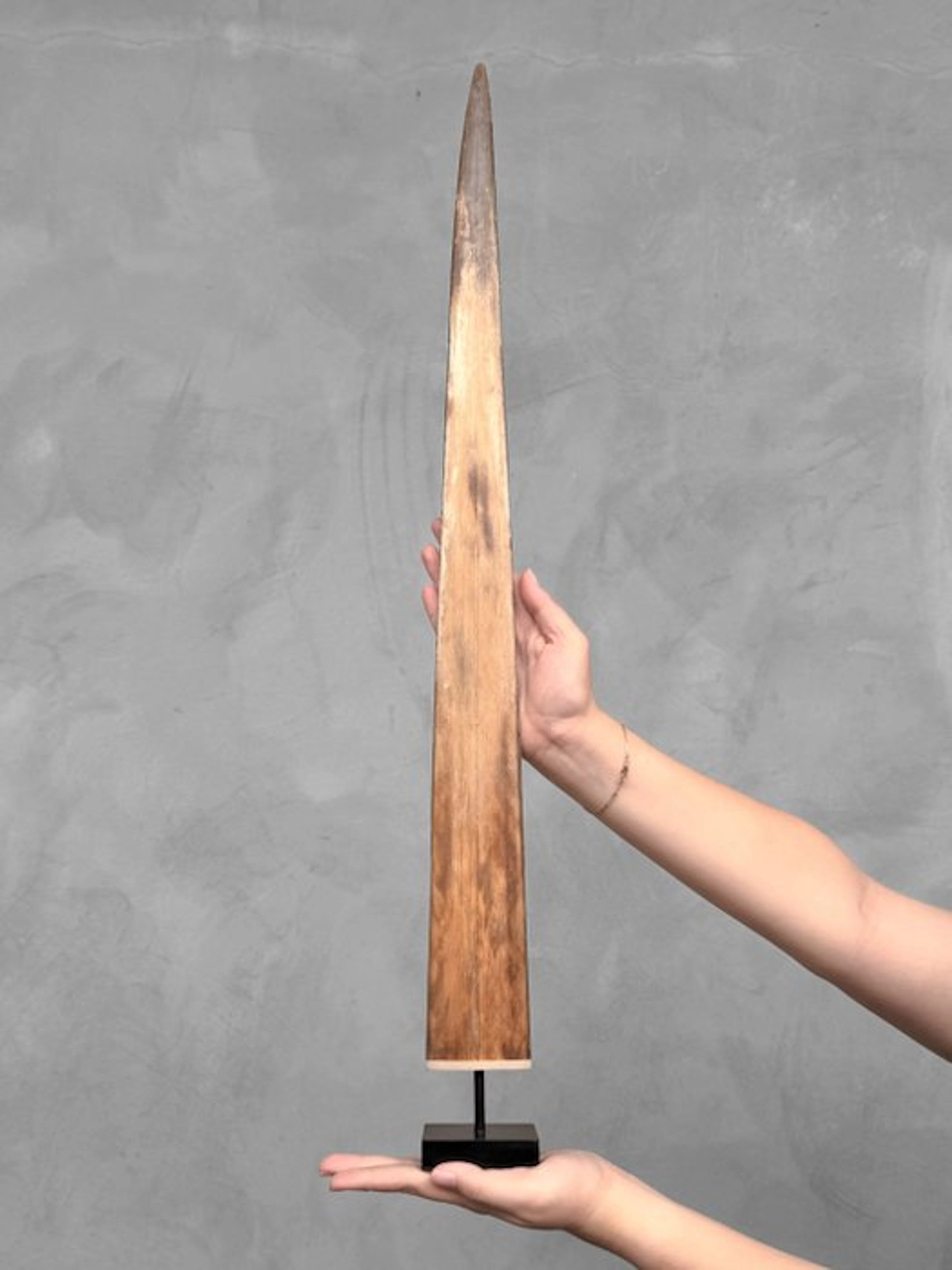 NO RESERVE PRICE - Stunning Swordfish Tusk mounted on a...