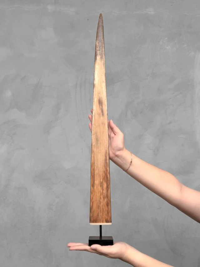 NO RESERVE PRICE - Stunning Swordfish Tusk mounted on a...