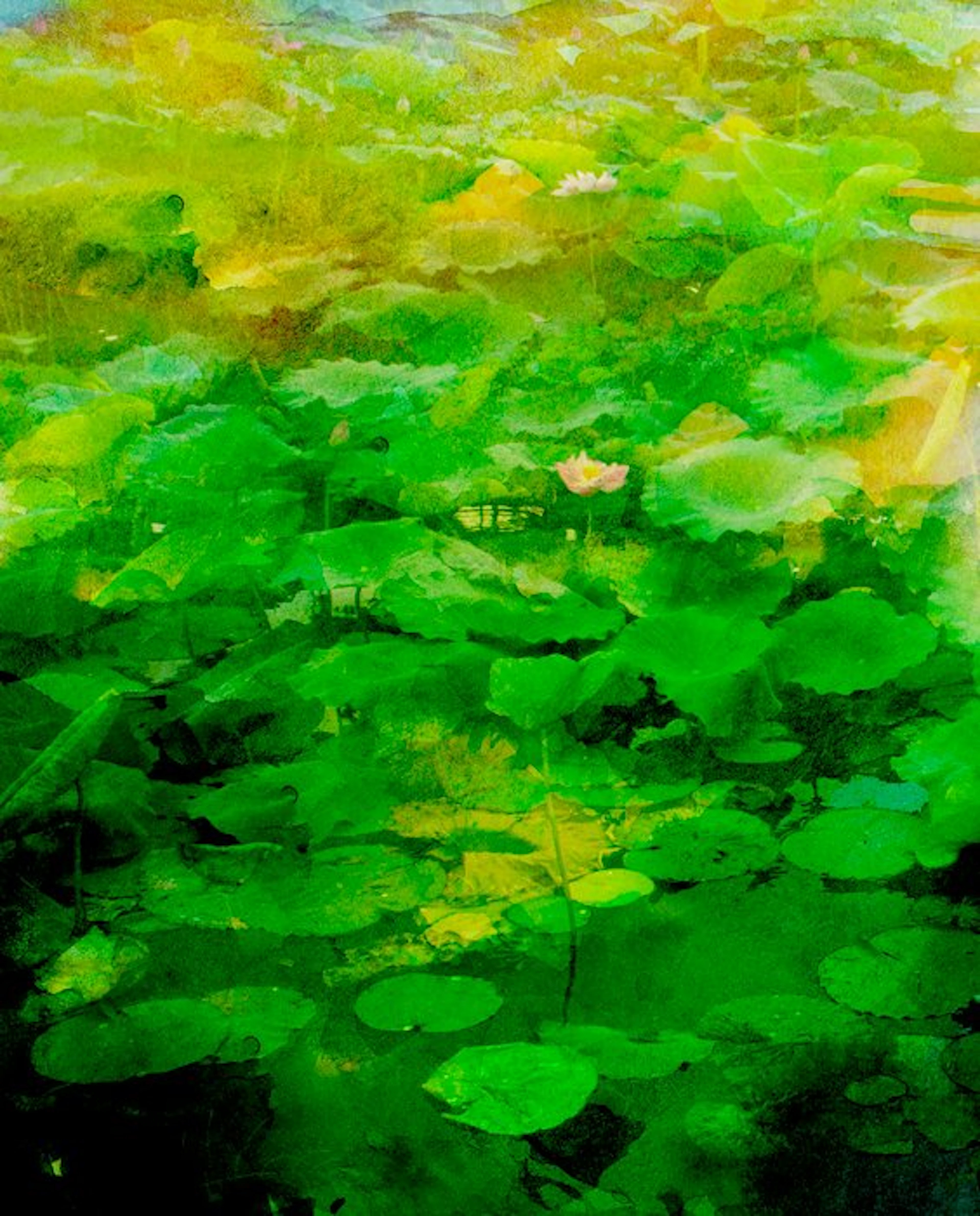 Viet Ha Tran - Emerald Dreams (2019)