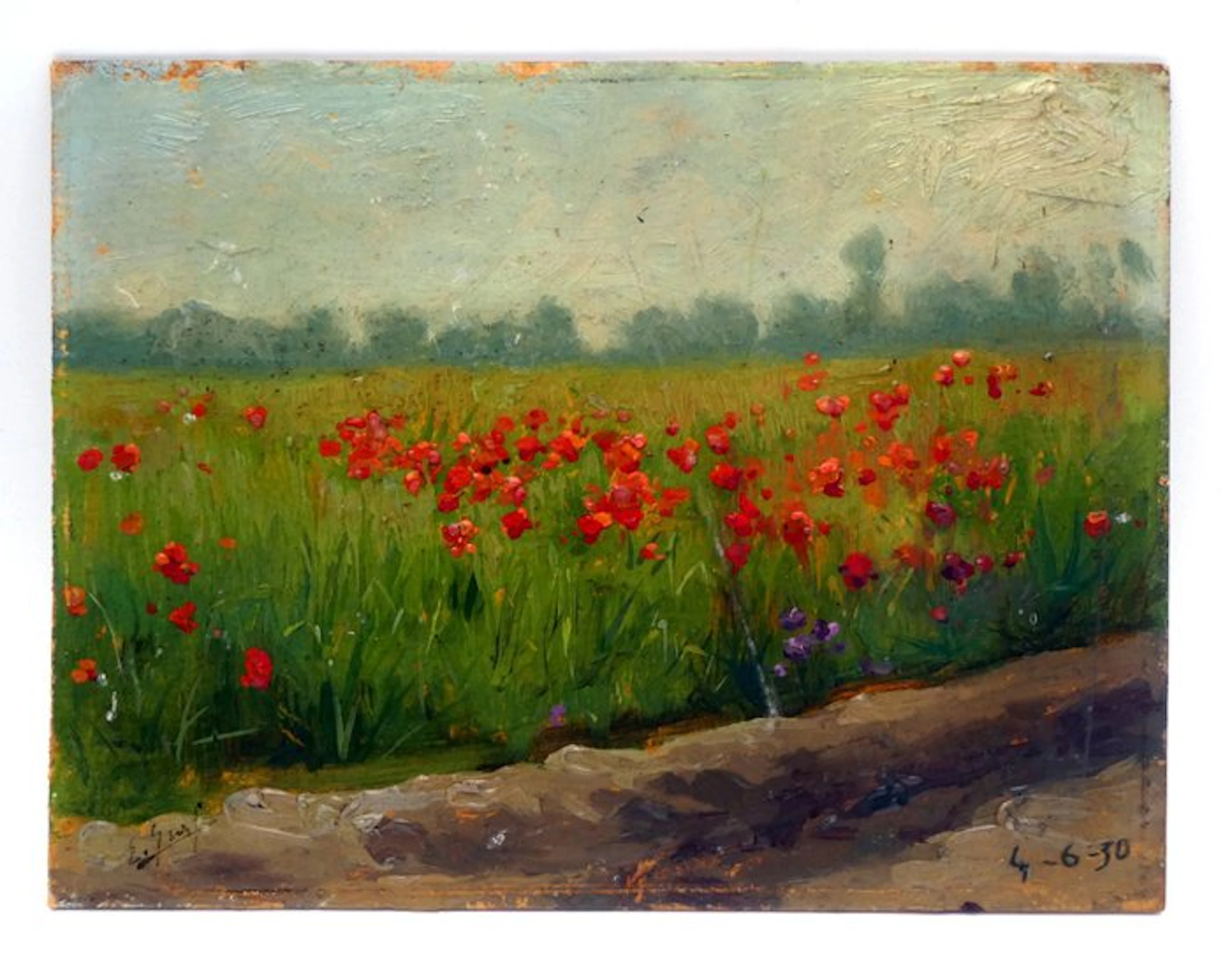 Scuola Milanese (XX), firmato "E. Gassi" - Campo di papaveri