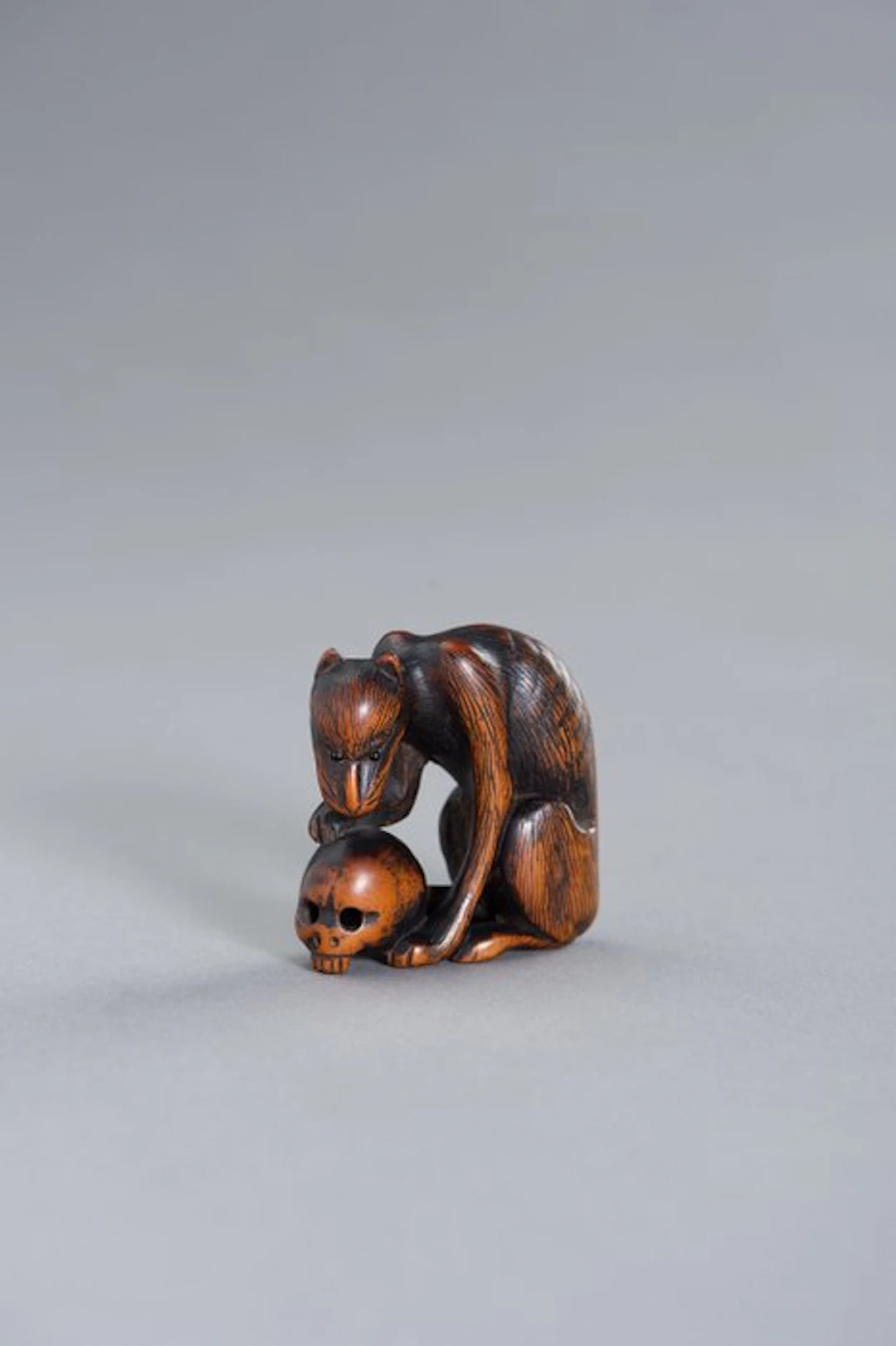 Japan - Edo period Wood Wooden netsuke of a yama-inu with...