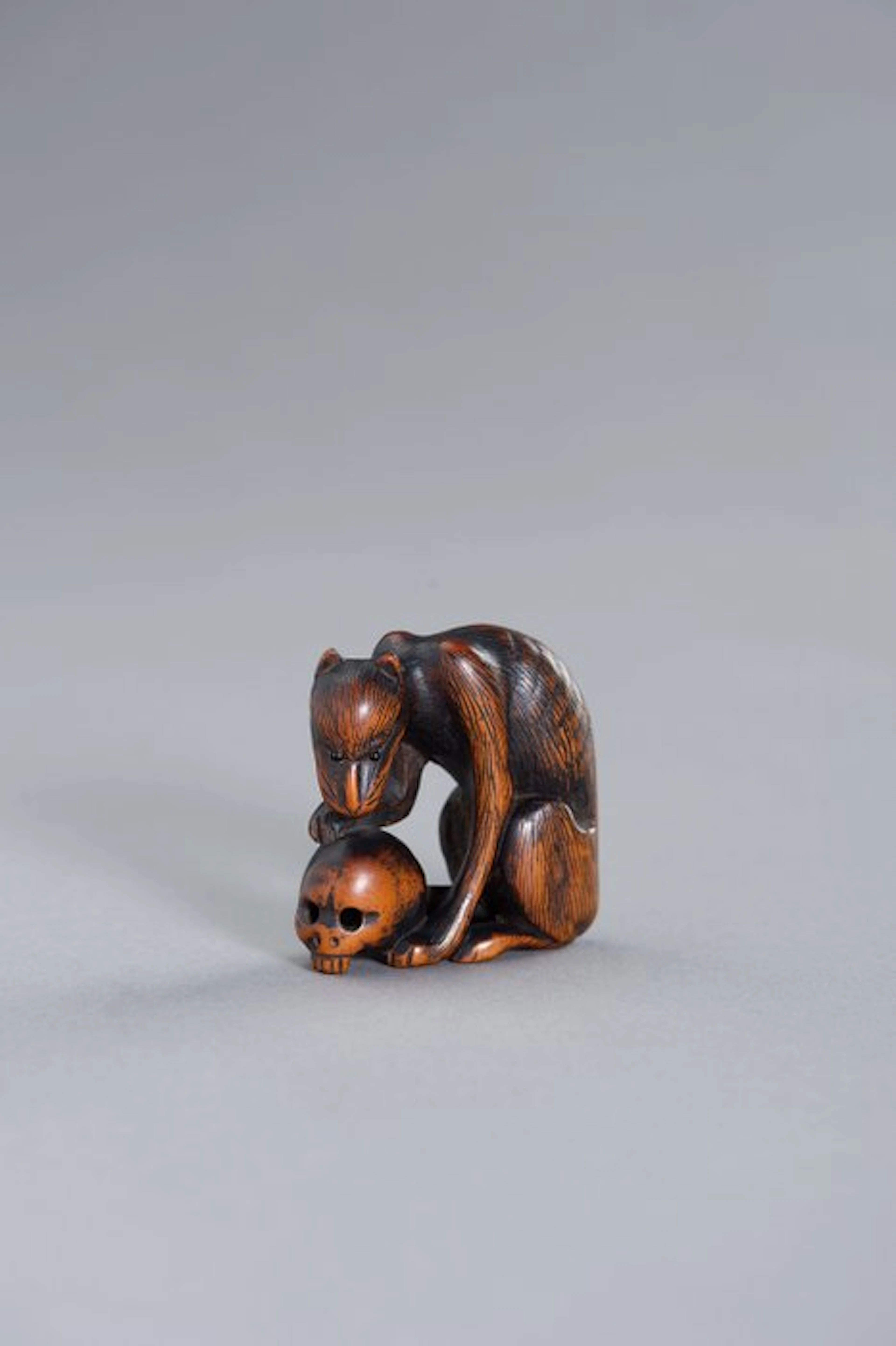 Japan - Edo period Wood Wooden netsuke of a yama-inu with...