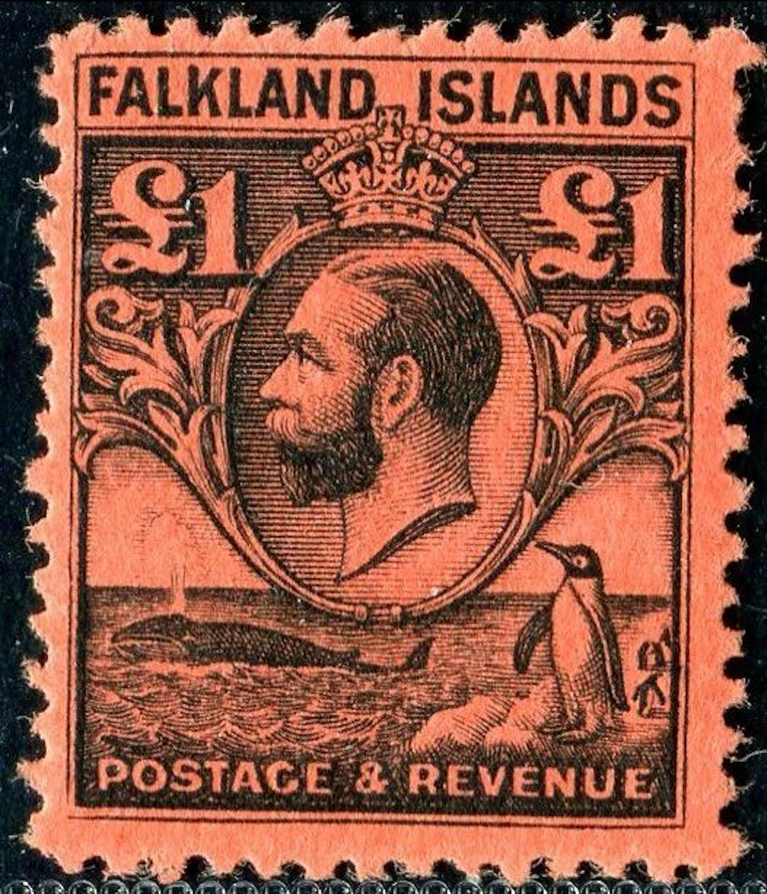Falkland Islands 1929 - George V, Whale & Pinguin, £ 1 black on red - SG 126