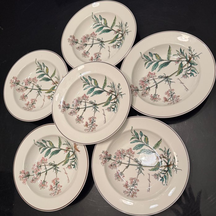 Villeroy & Boch - Dish (6) - Botanica - Porcelain