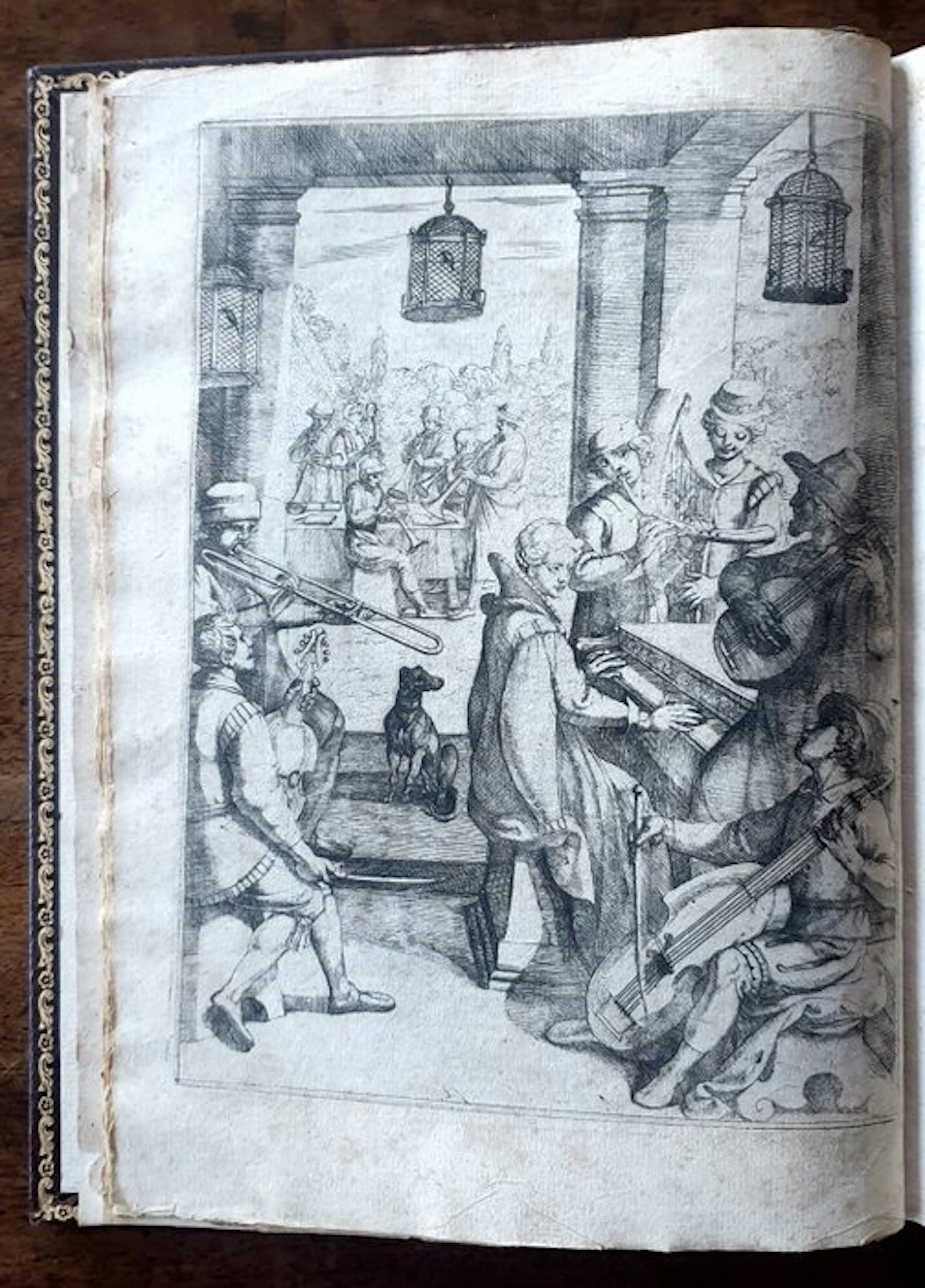 Olina - UCCELLIERA- Gorgeous book on birds- richly lllustrated - 1622