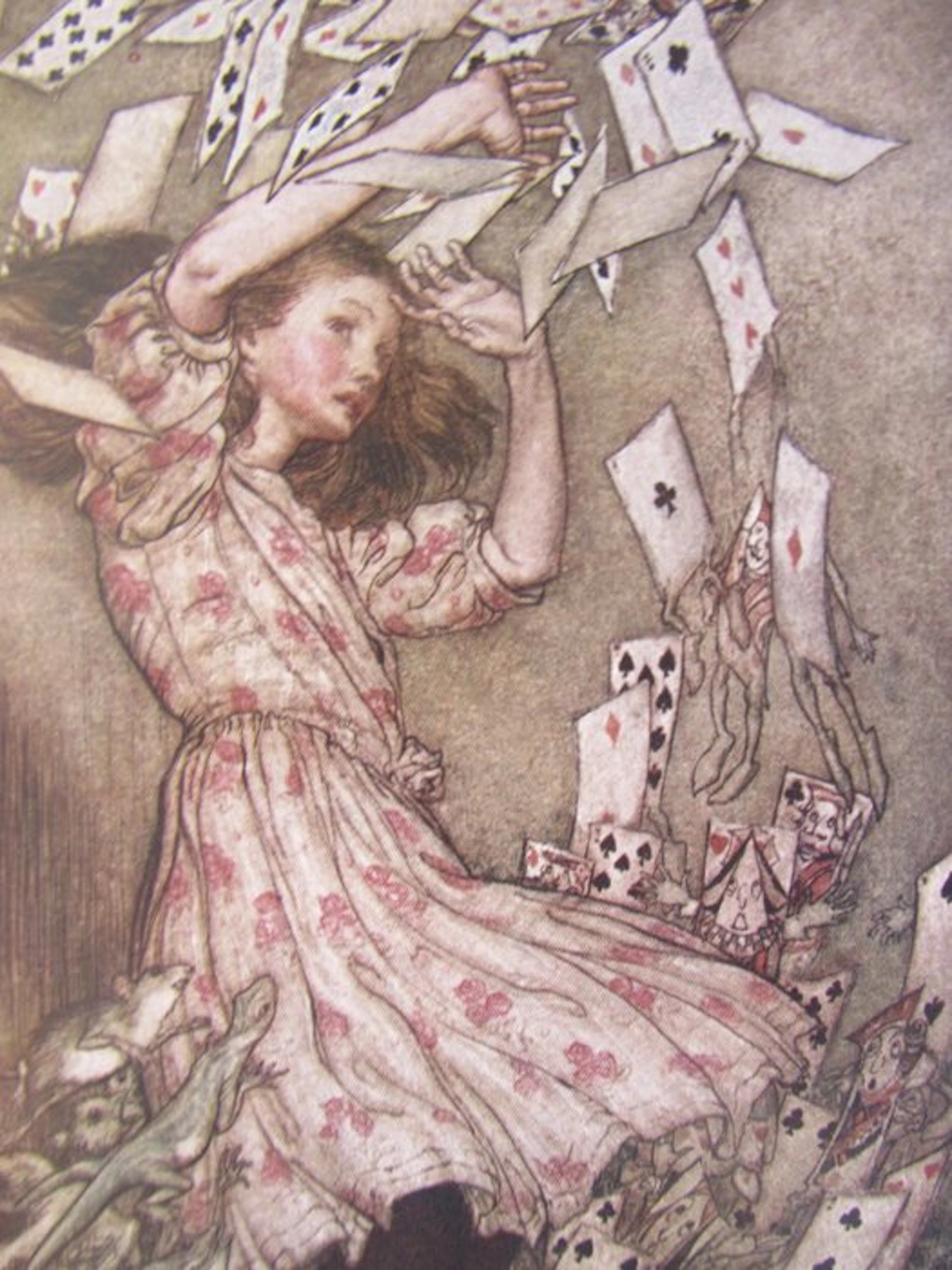 Arthur RACKHAM - Aventures d'Alice au pays des merveilles & Piter Pan - 1907