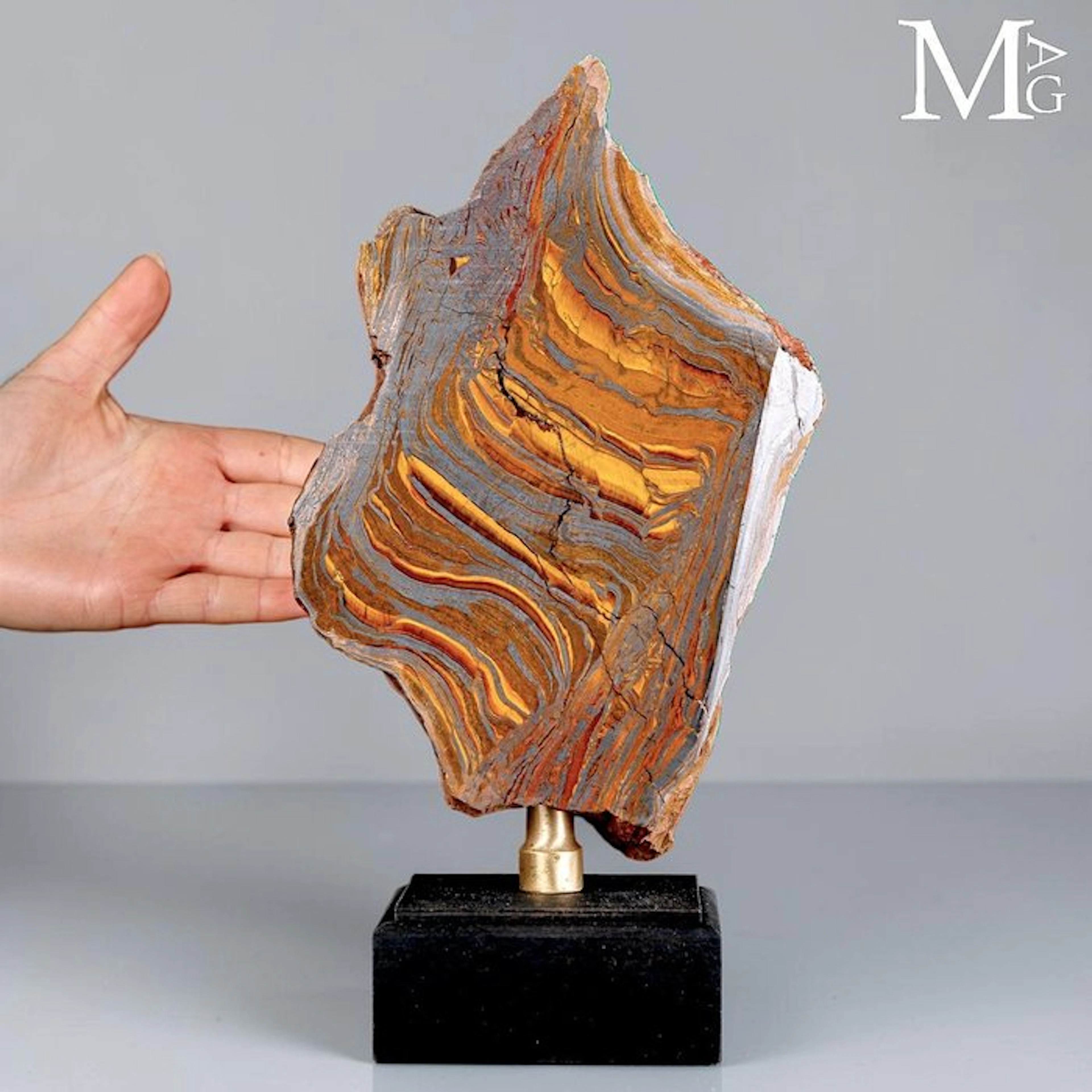 Vibrant Australian Tiger Iron with Golden Chatoyancy and...