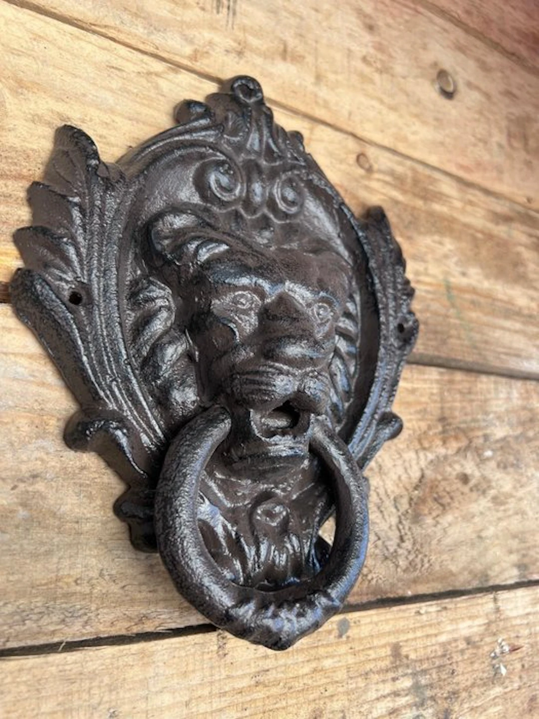 Decorative ornament - Lion door knocker - Europe - Lion door knocker
