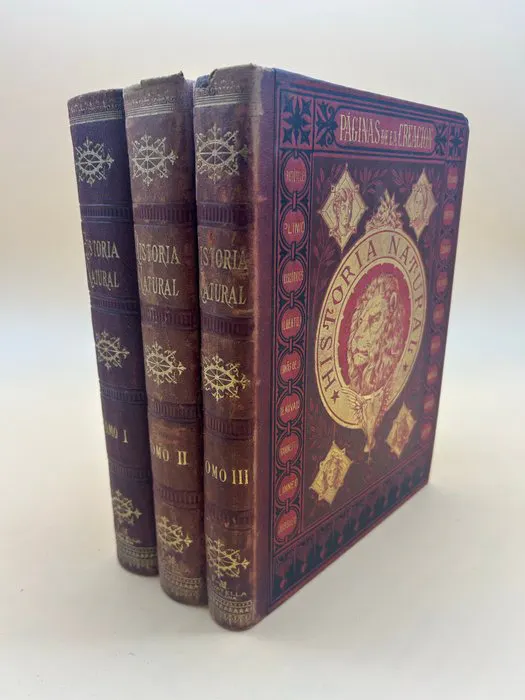 Pelegrín Casabó y Pagés - Enciclopedia de historia...