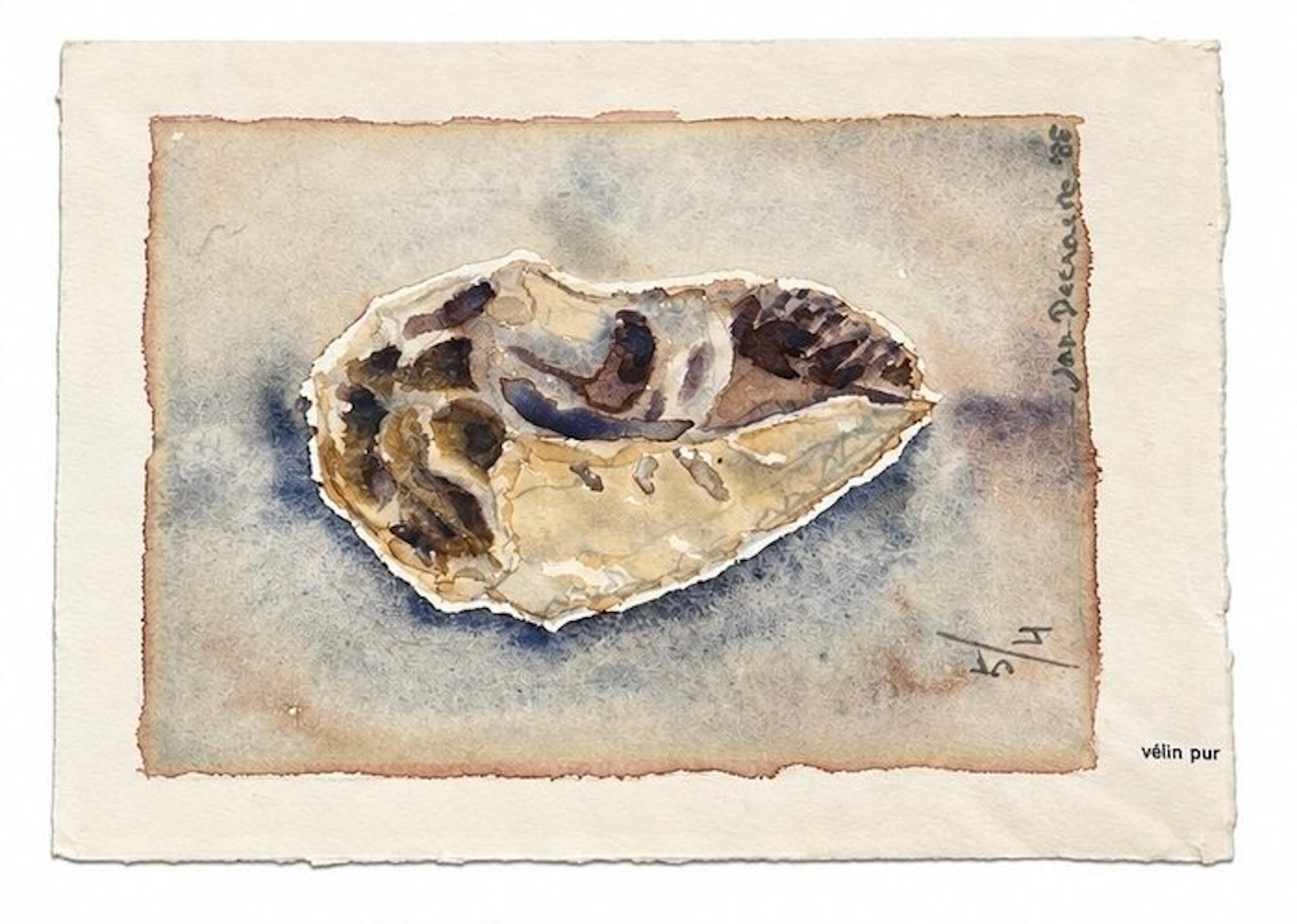 Jan Decraene (XX) - Oester
