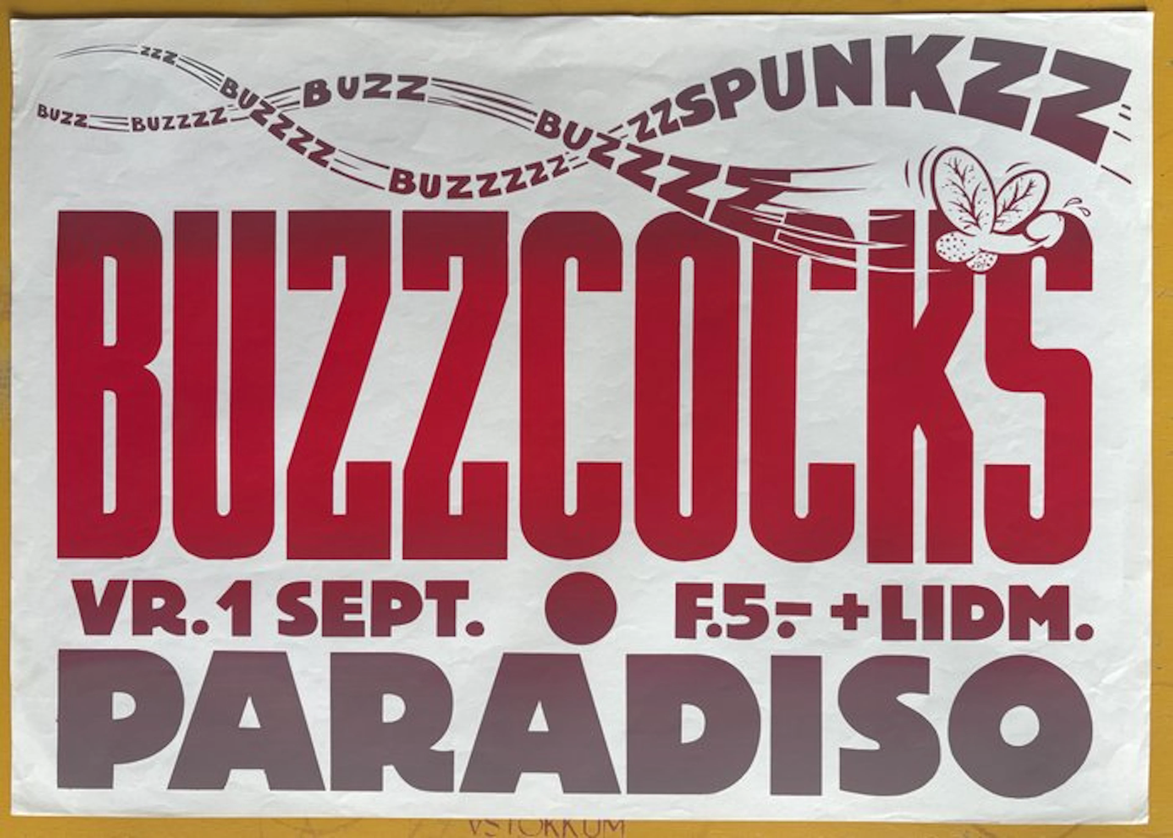 Martin Kaye - Buzzcocks 1978 - Buzzcocks Paradiso