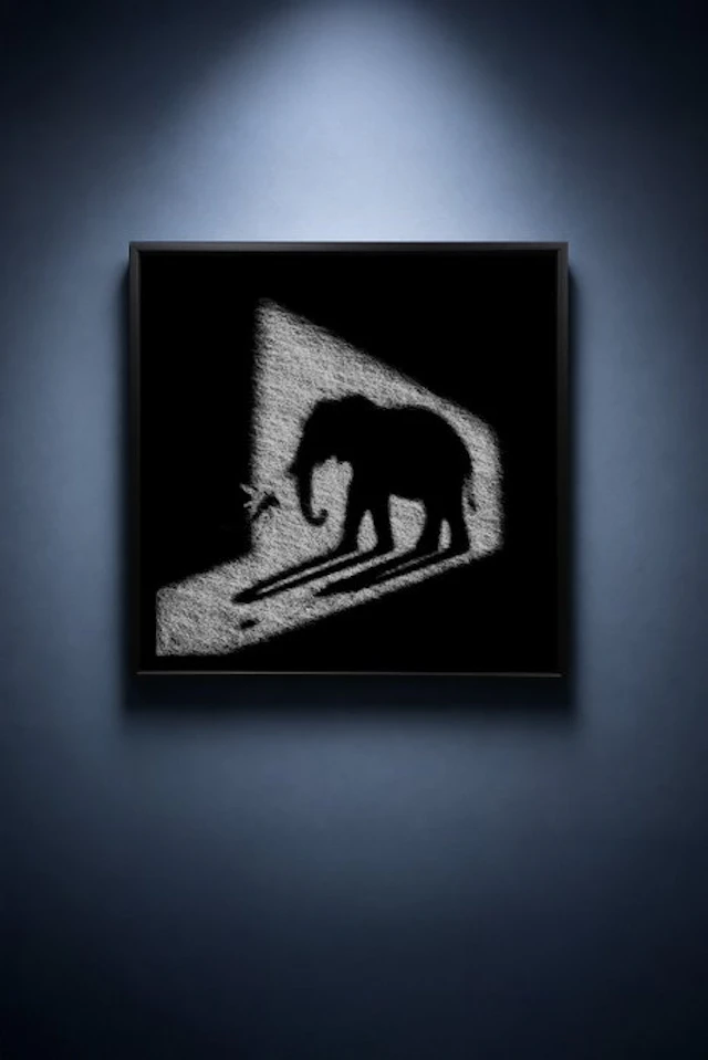 Tijs Dragtsma (1992) - Mosquito Casts an Elephant