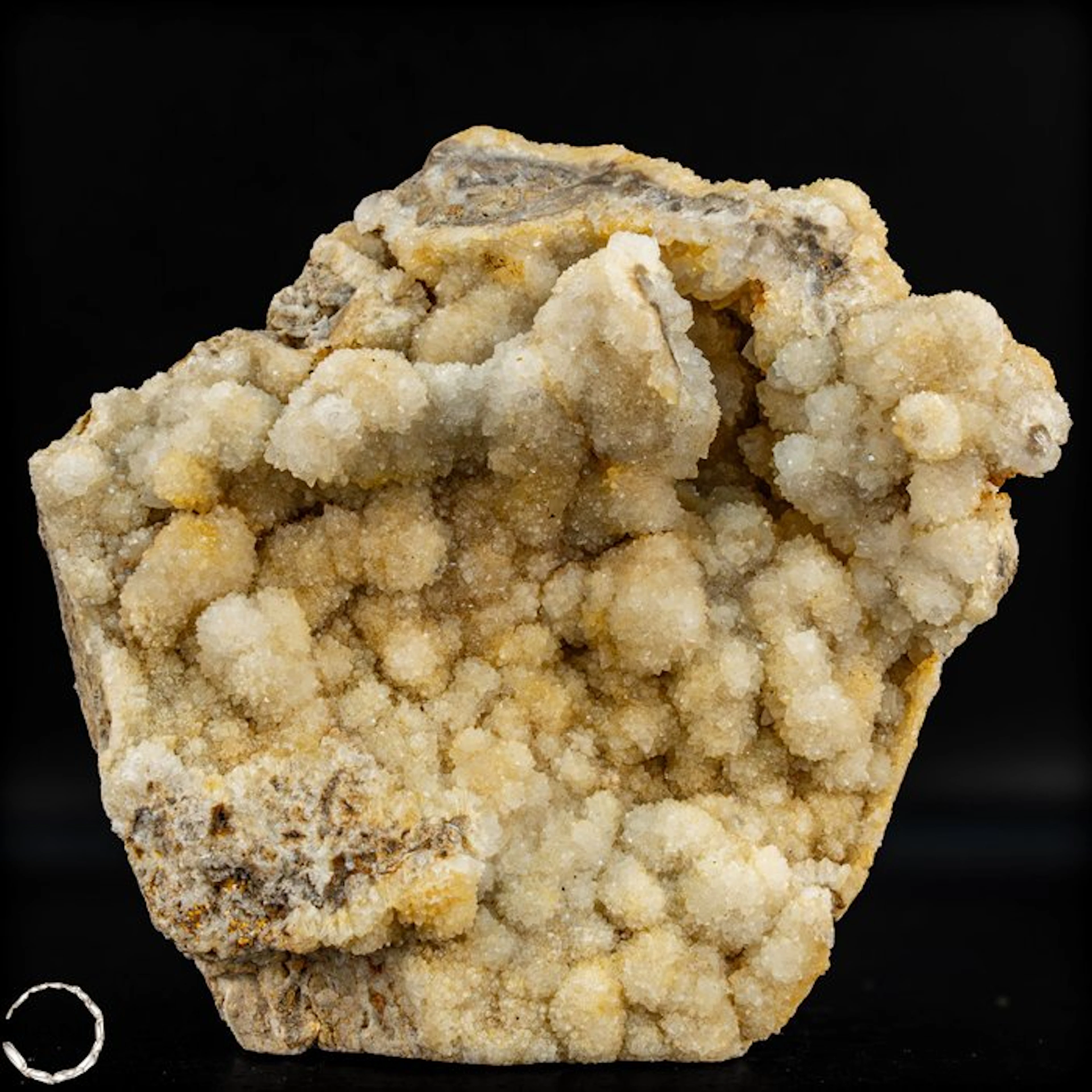 Natural cactus quartz specimen on matrix – exceptionally...
