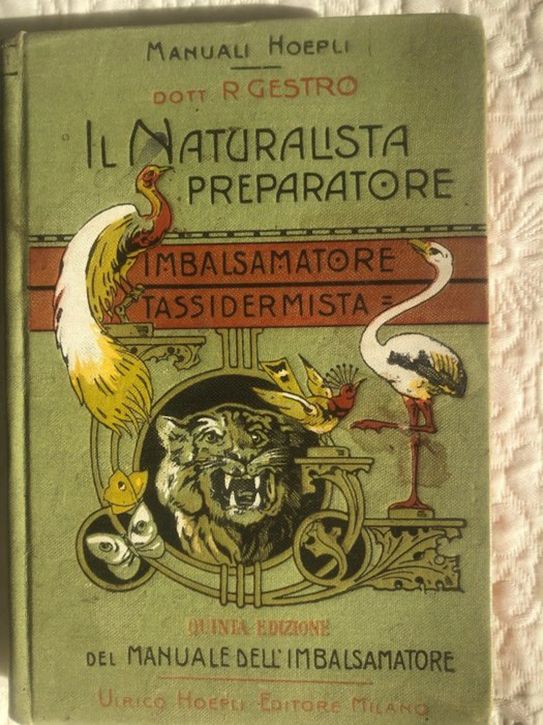 R. Gestro - Il naturalista preparatore. Imbalsamore tassidermista - 1915