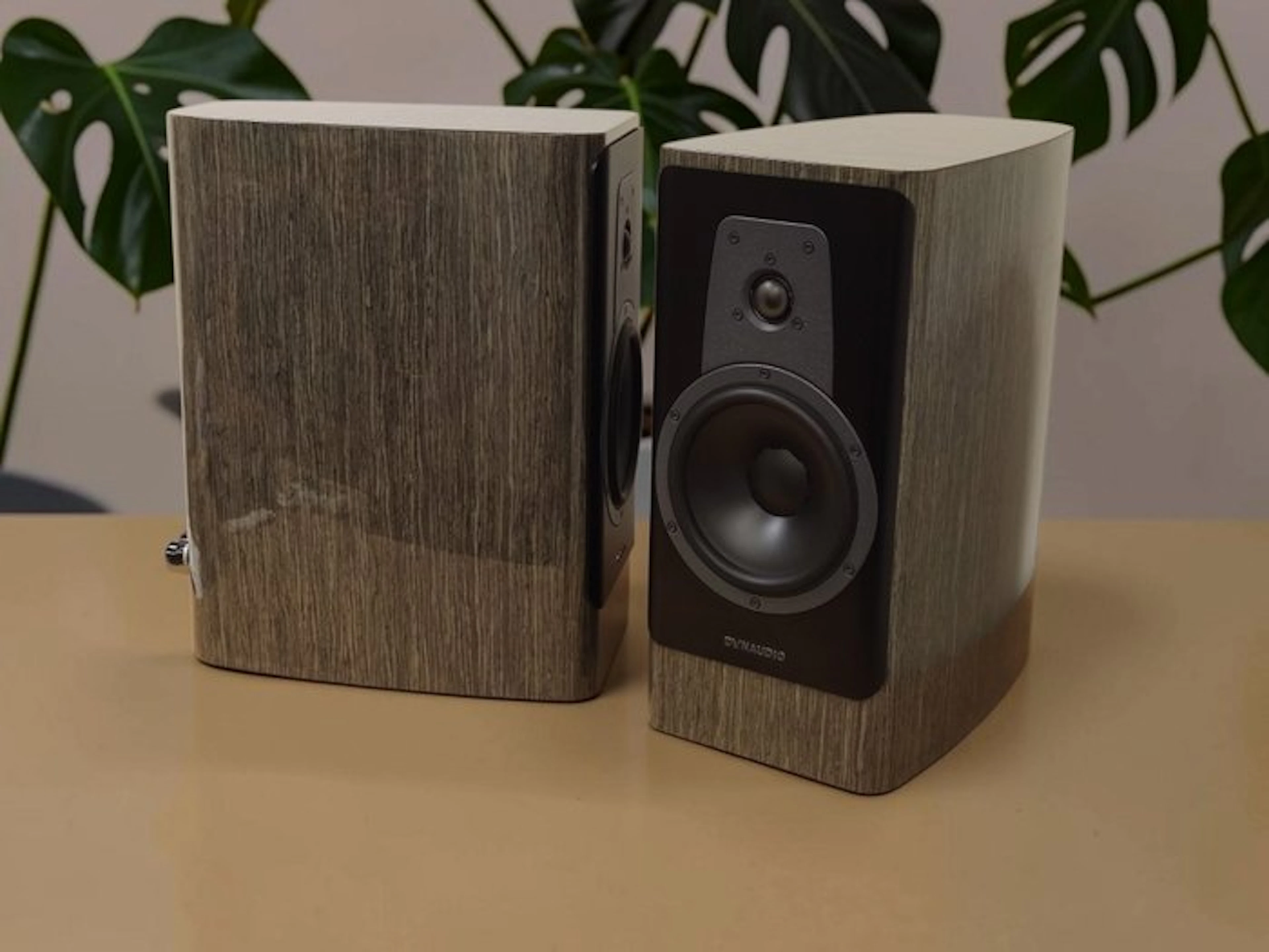 Dynaudio - Contour 20 / 2-Way Bass-Reflex High-End Standmount Speaker set