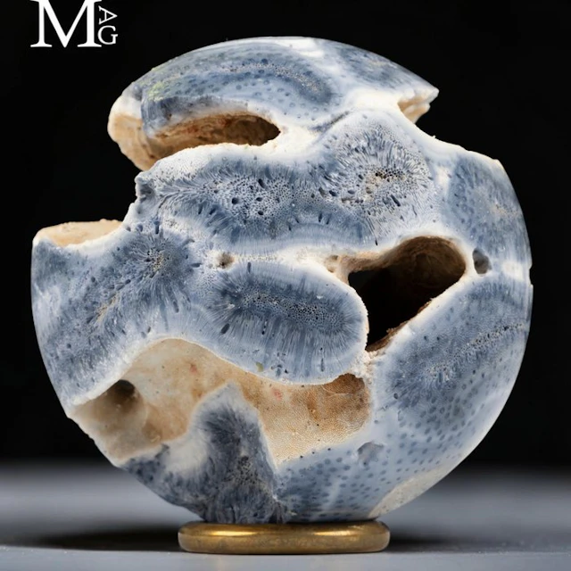 Rare Blue Aragonite Skeleton Heliopora coerulea – Natural...