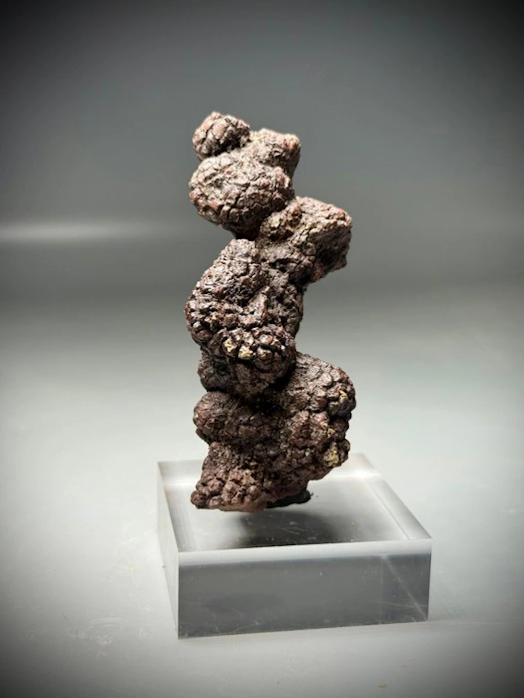 Monster Fossil "poop"- - Fossil fragment - Coprolite- Large stunning specimen