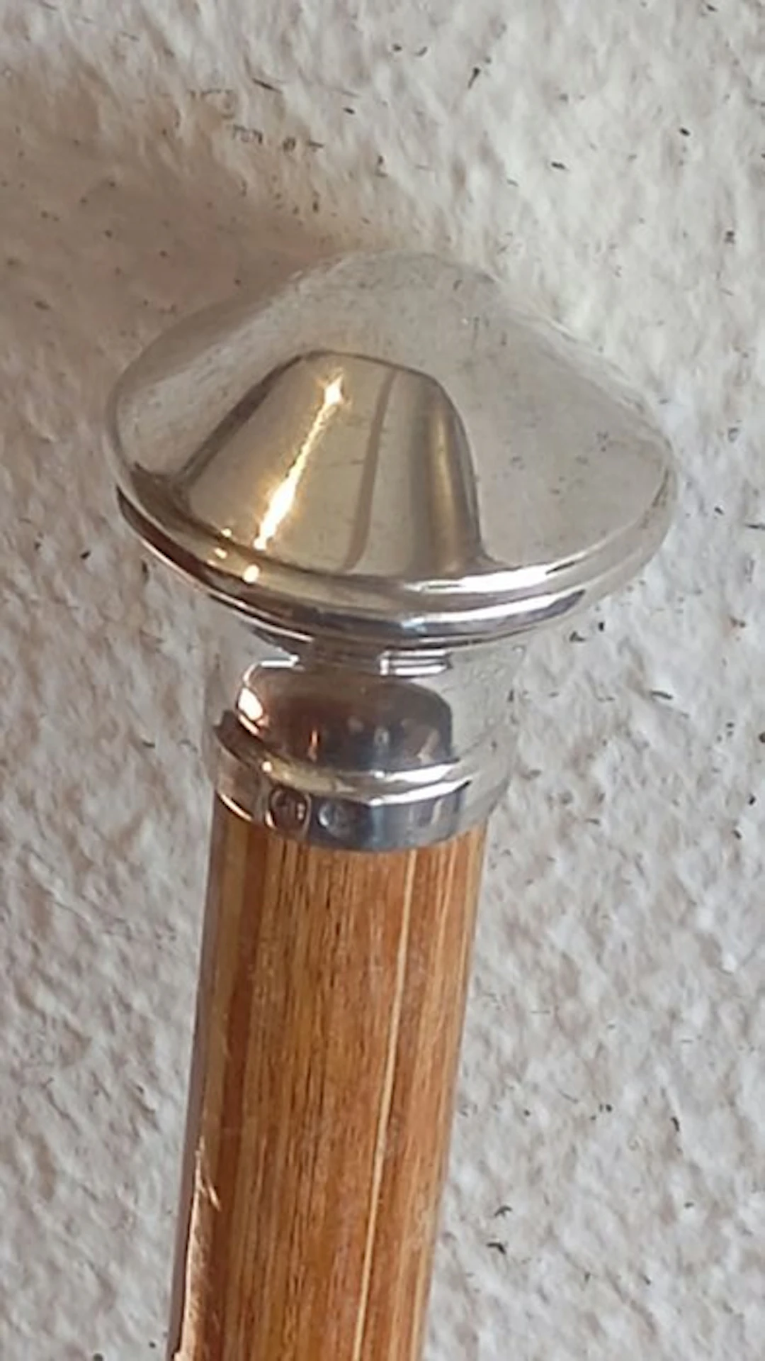 Walking stick - Wood, Metal