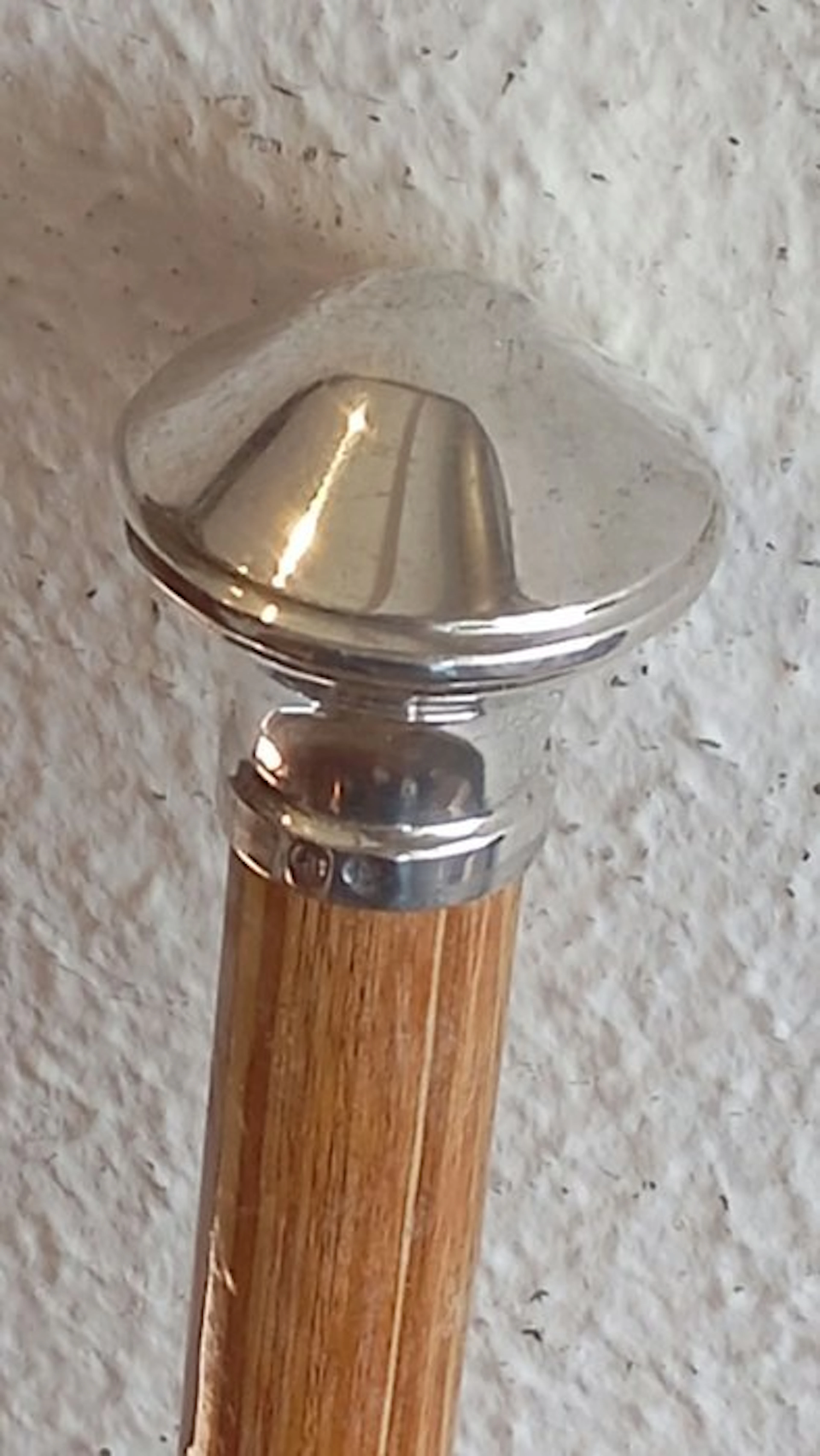 Walking stick - Wood, Metal