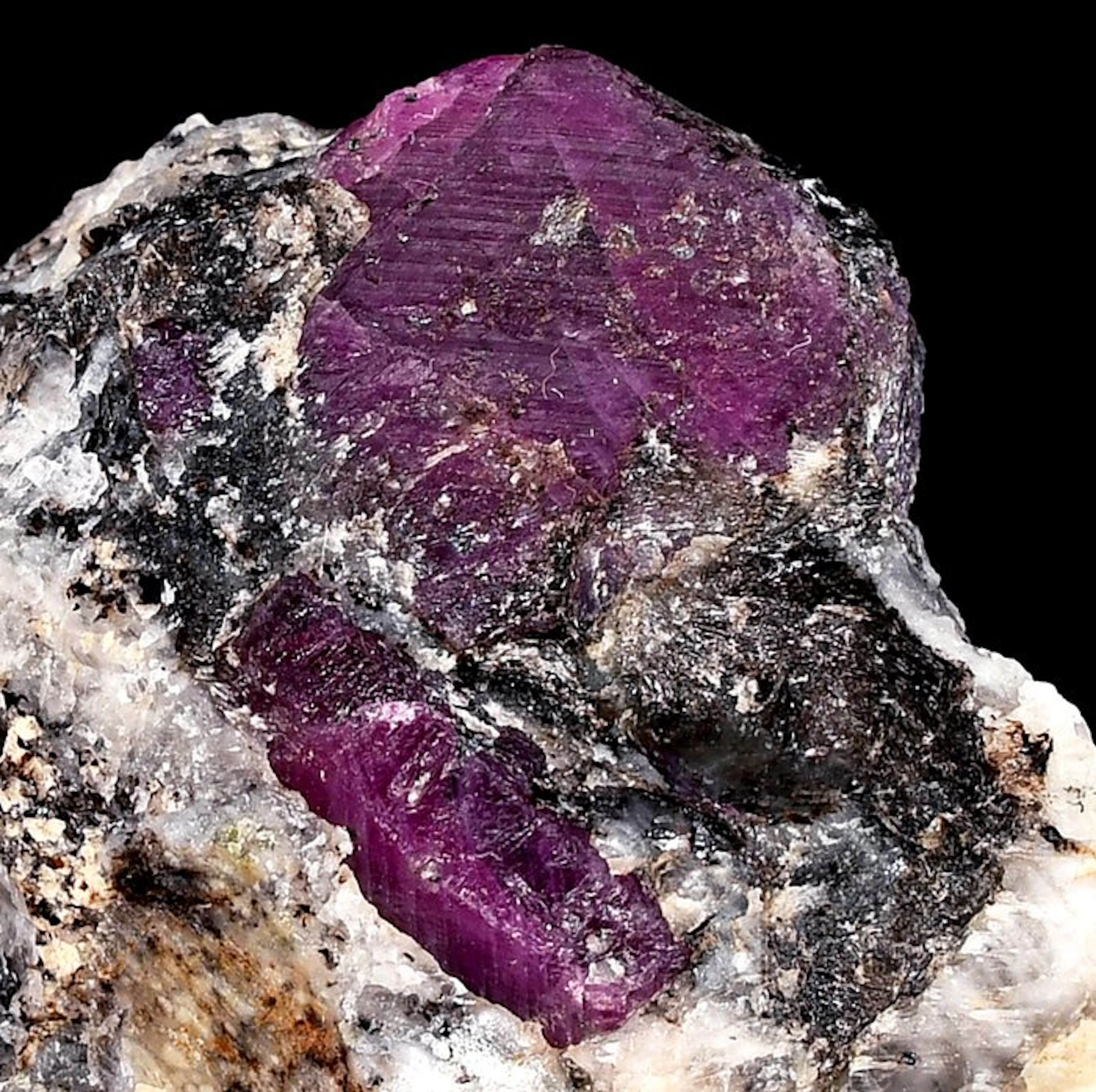 High quality pigeon blood red Ruby from India - Height...