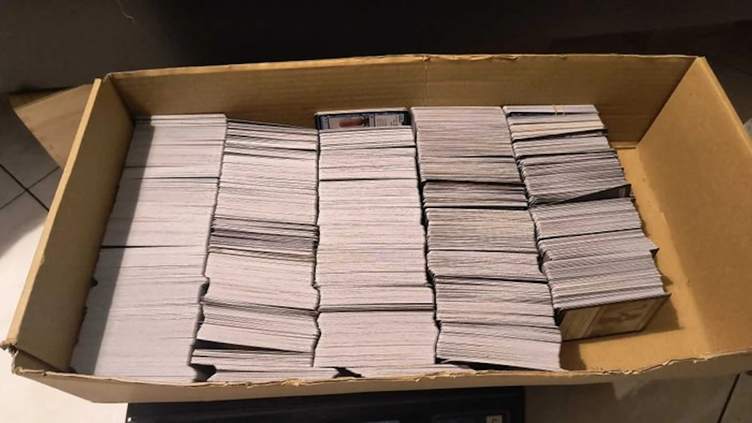 Wizards of The Coast - 3000 Bulk cards - Magic: The Gathering