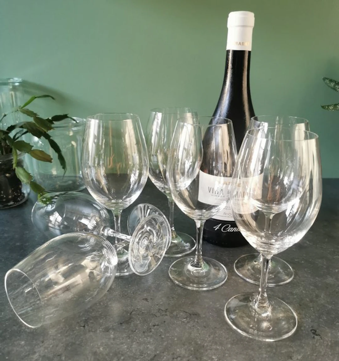 Riedel - Drinking service (12) - Tasting restaurant - Crystal - With wine