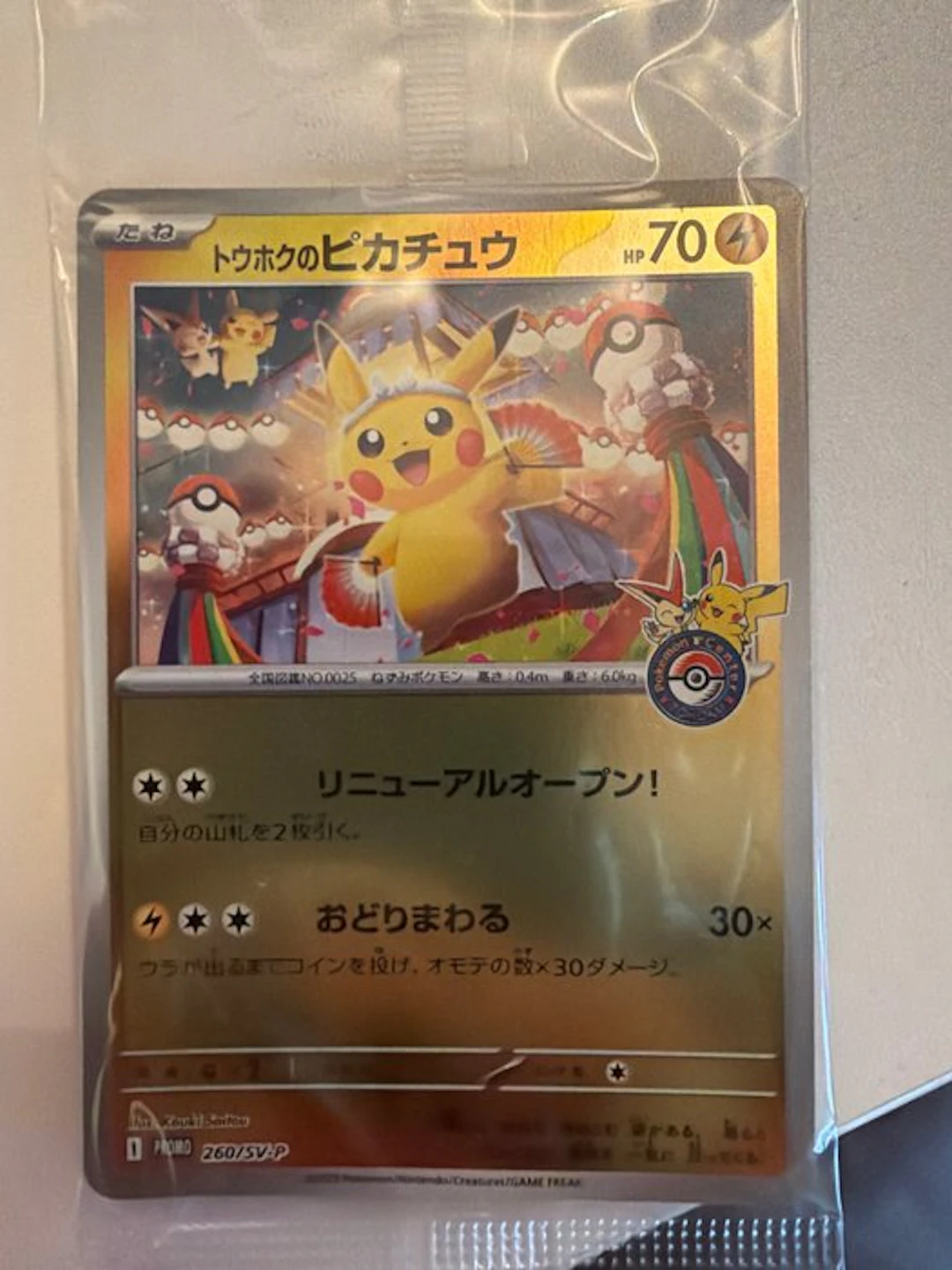 Pokémon - 1 Card - Pikachu 260/SV-P Promo card, Foil - Scarlet & Violet