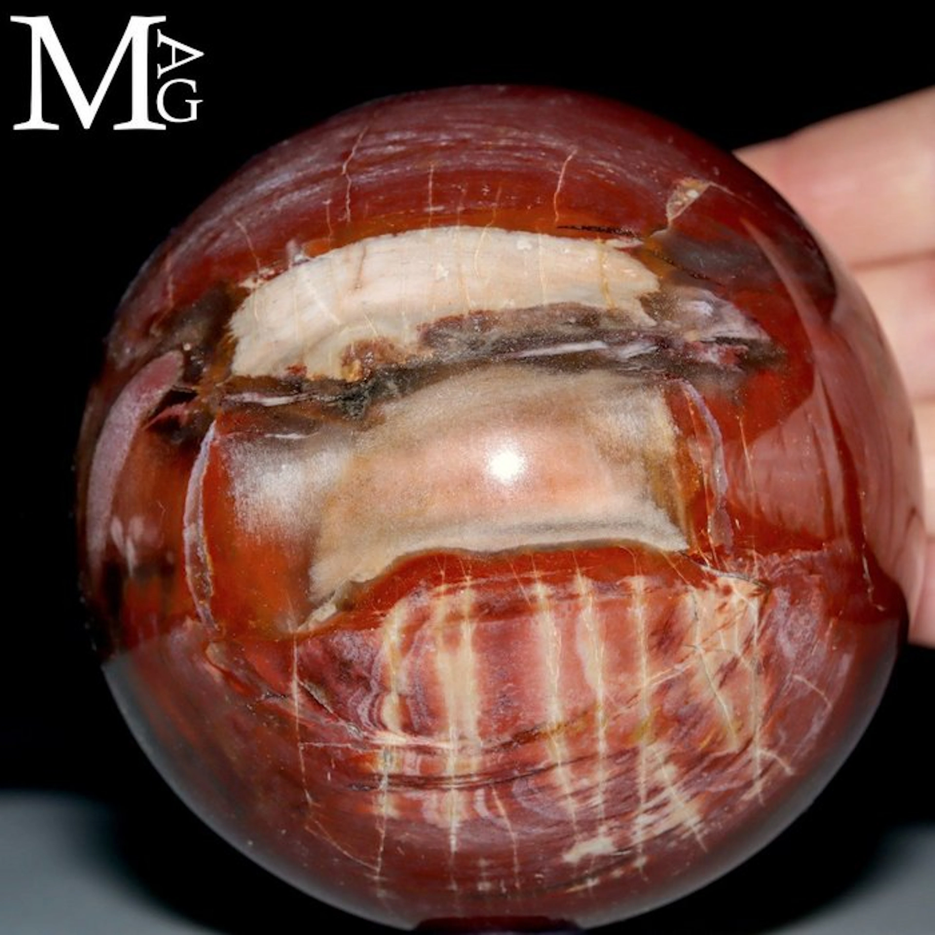 Triassic Petrified Wood Sphere from Madagascar...