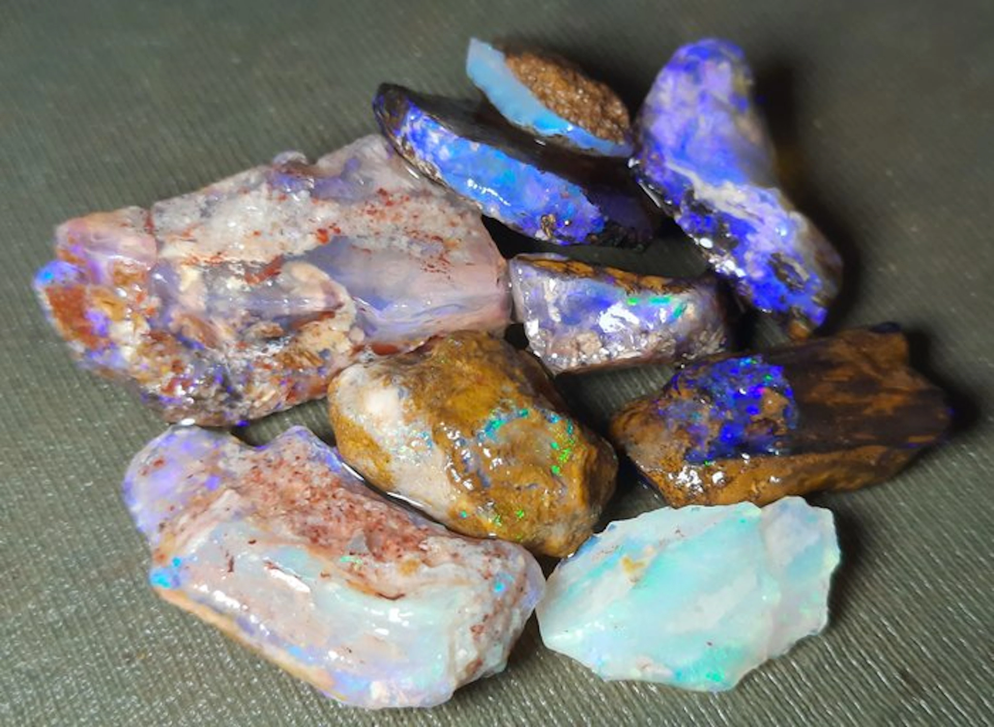 58.6 ct - Rare Natural Australian Opal - Wood Fossil - Rough- 11.72 g