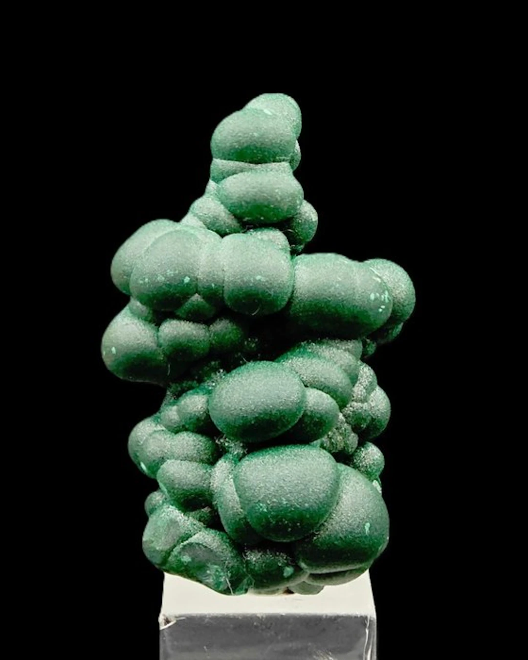 Splendid botryoidal malachite