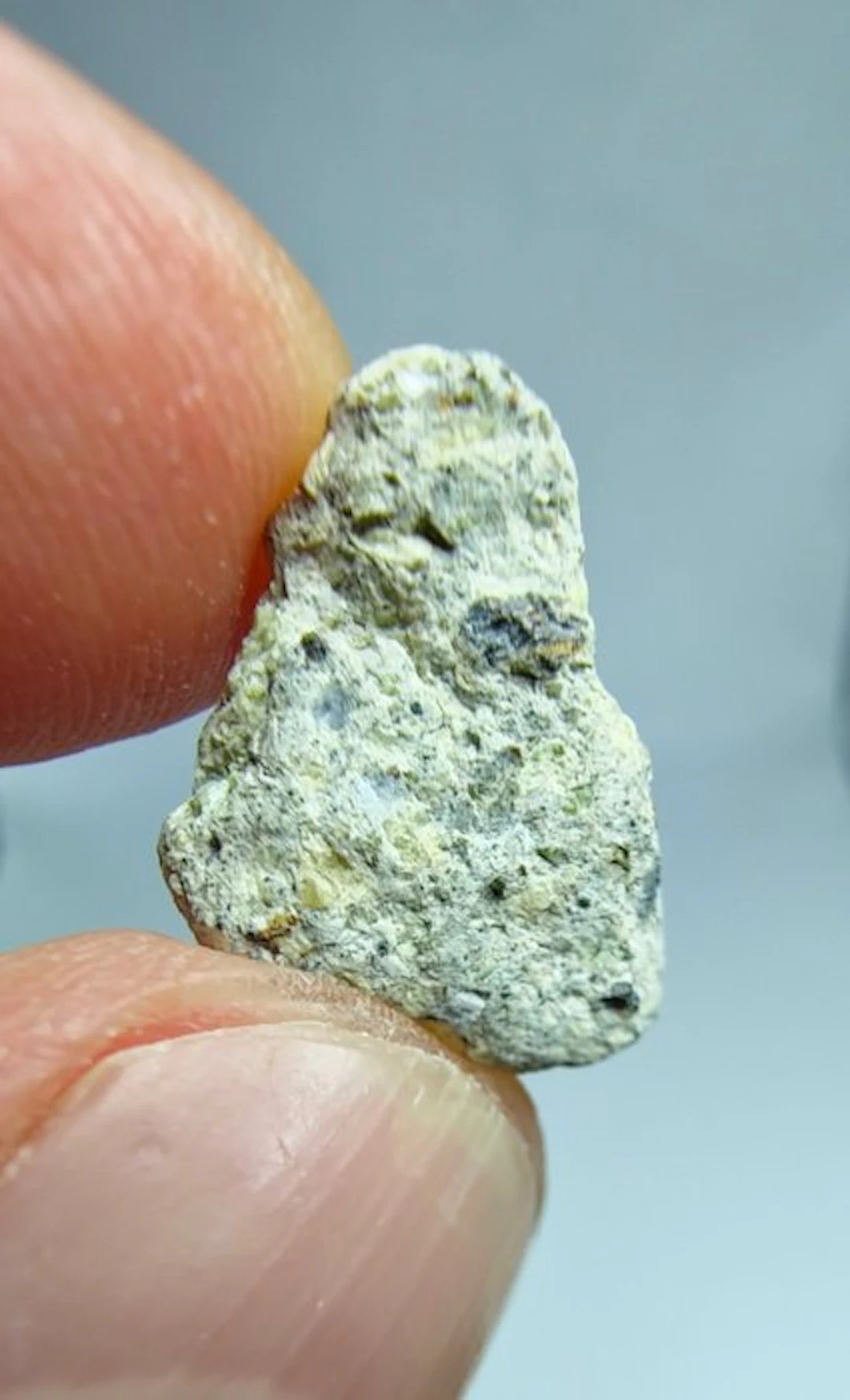 Dunite. Ain Ben Tili 004. Ungrouped Achondrite, - 1.79 g - (1)