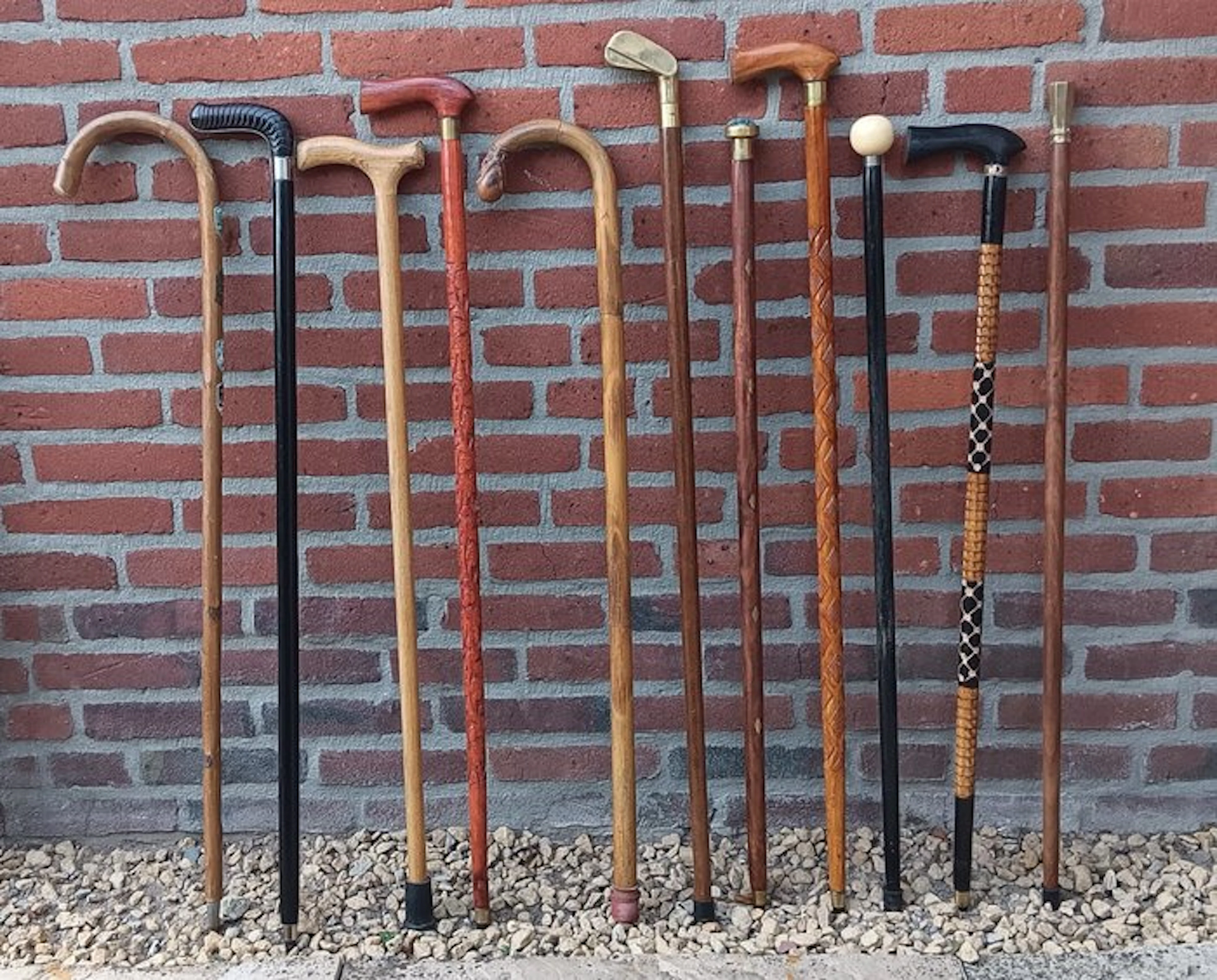 Walking stick (11) - various models - diverse materials