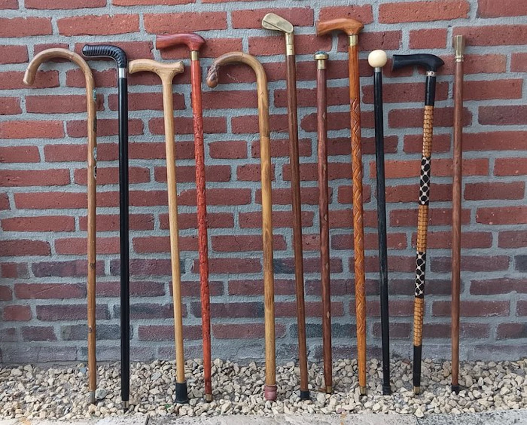 Walking stick (11) - various models - diverse materials