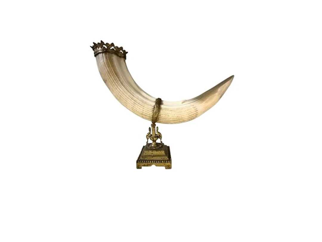 Hippopotamus Taxidermy full body mount - Hippopotamus...