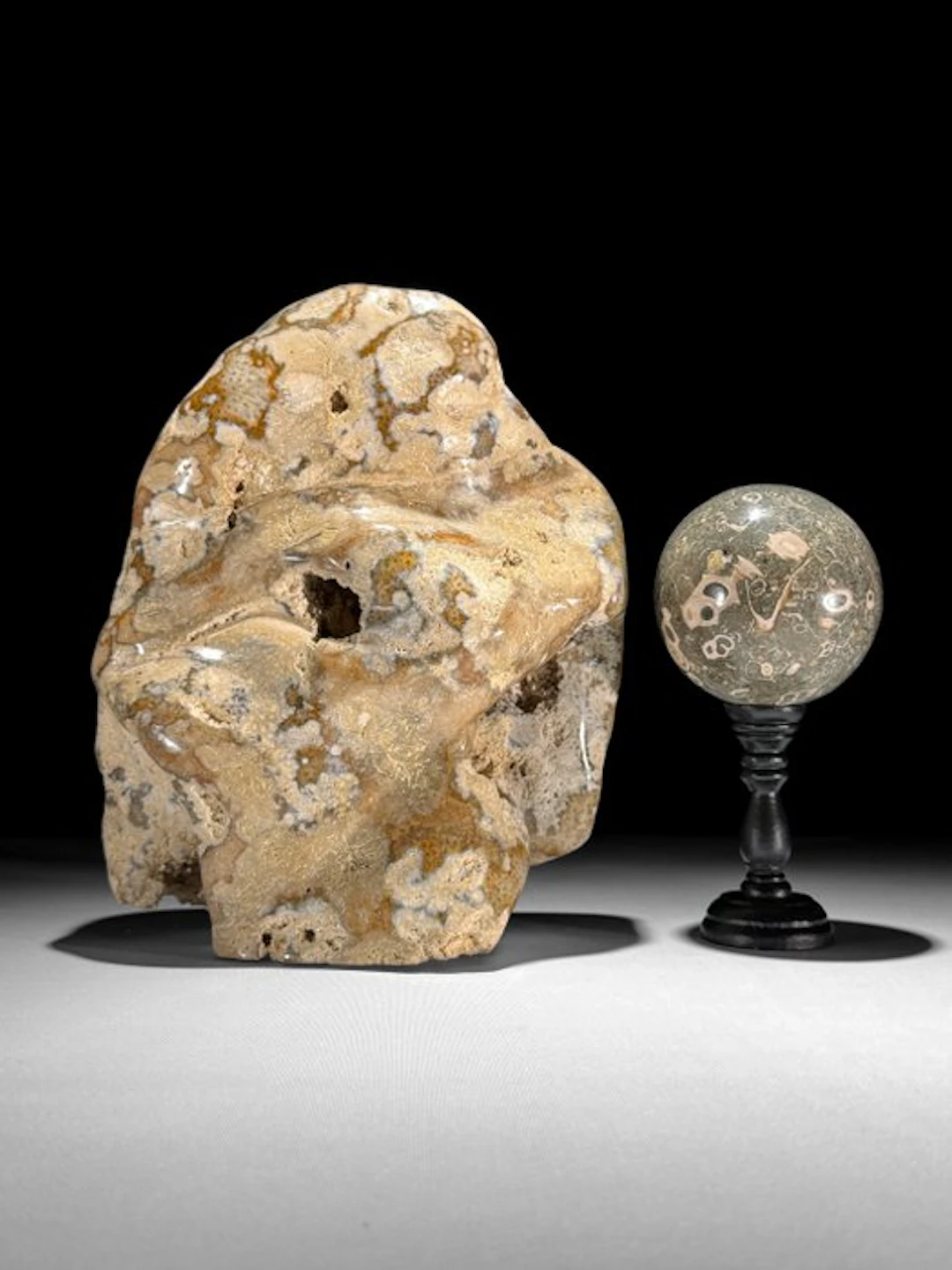 C - Beautiful Coral Fossil Freeform & Turritella Sphere...