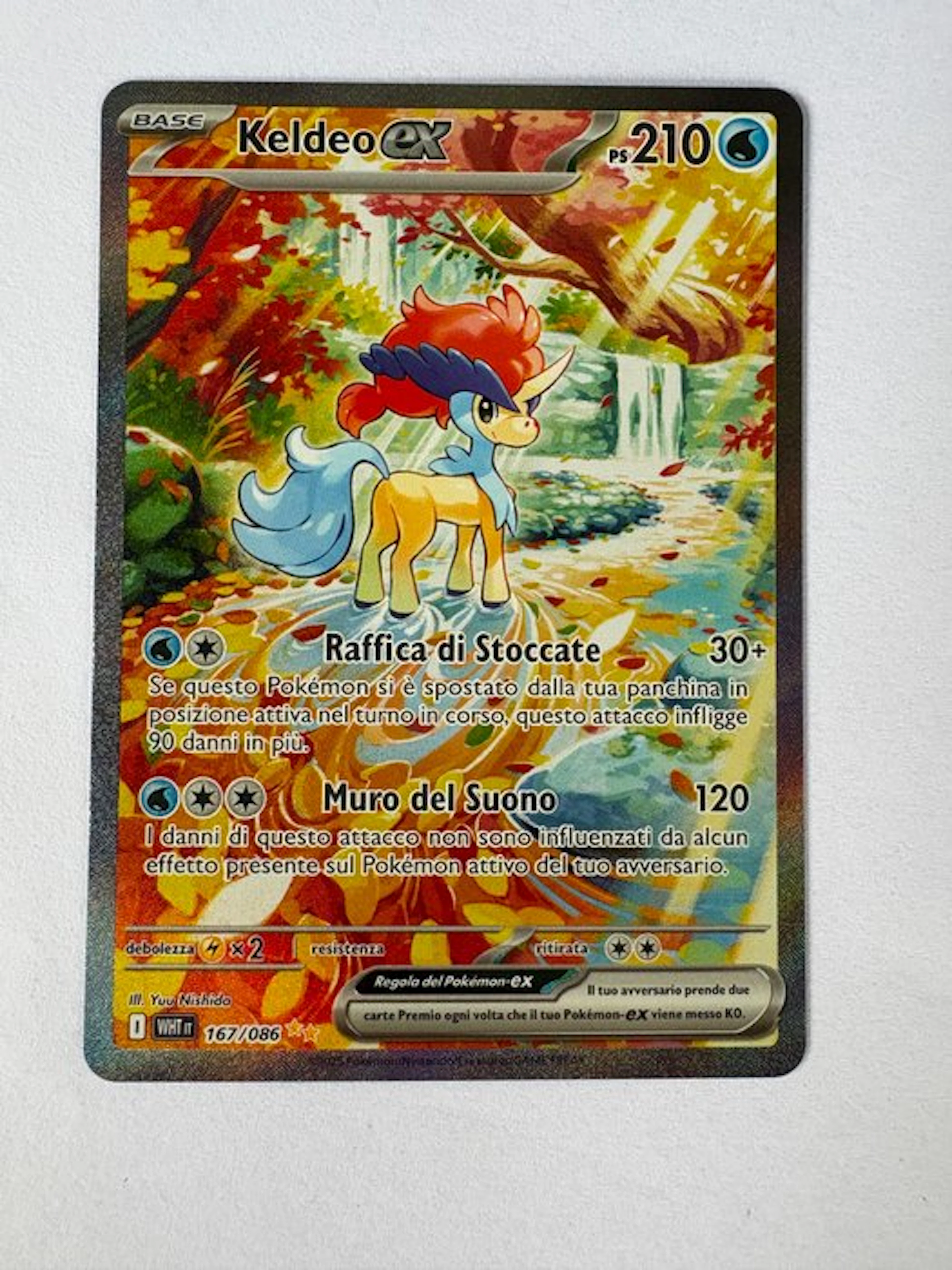 Pokémon - 1 Card - Black & White
