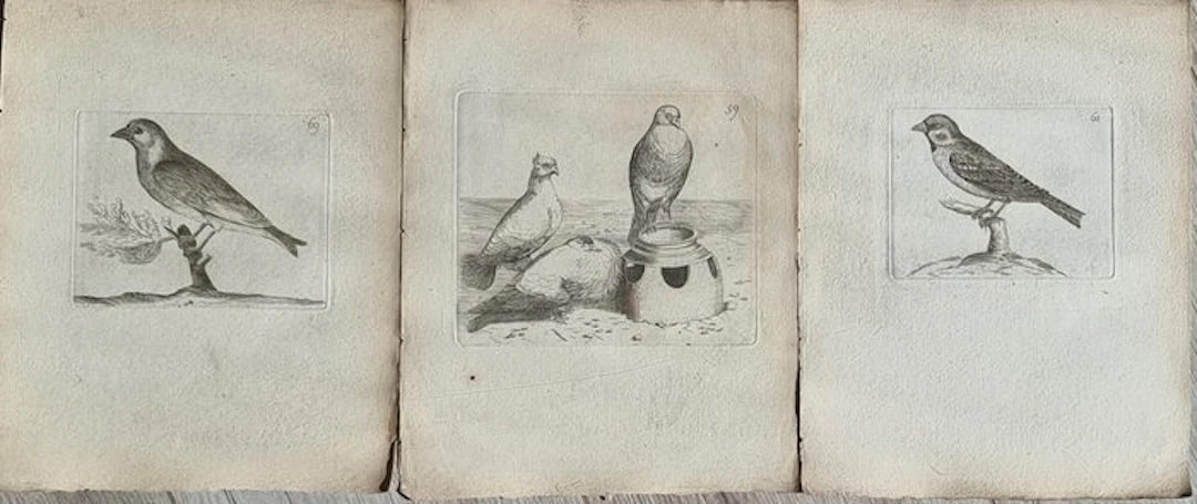 Johann Andreas Naumann (1744 – 1826) - Johann Andreas e...