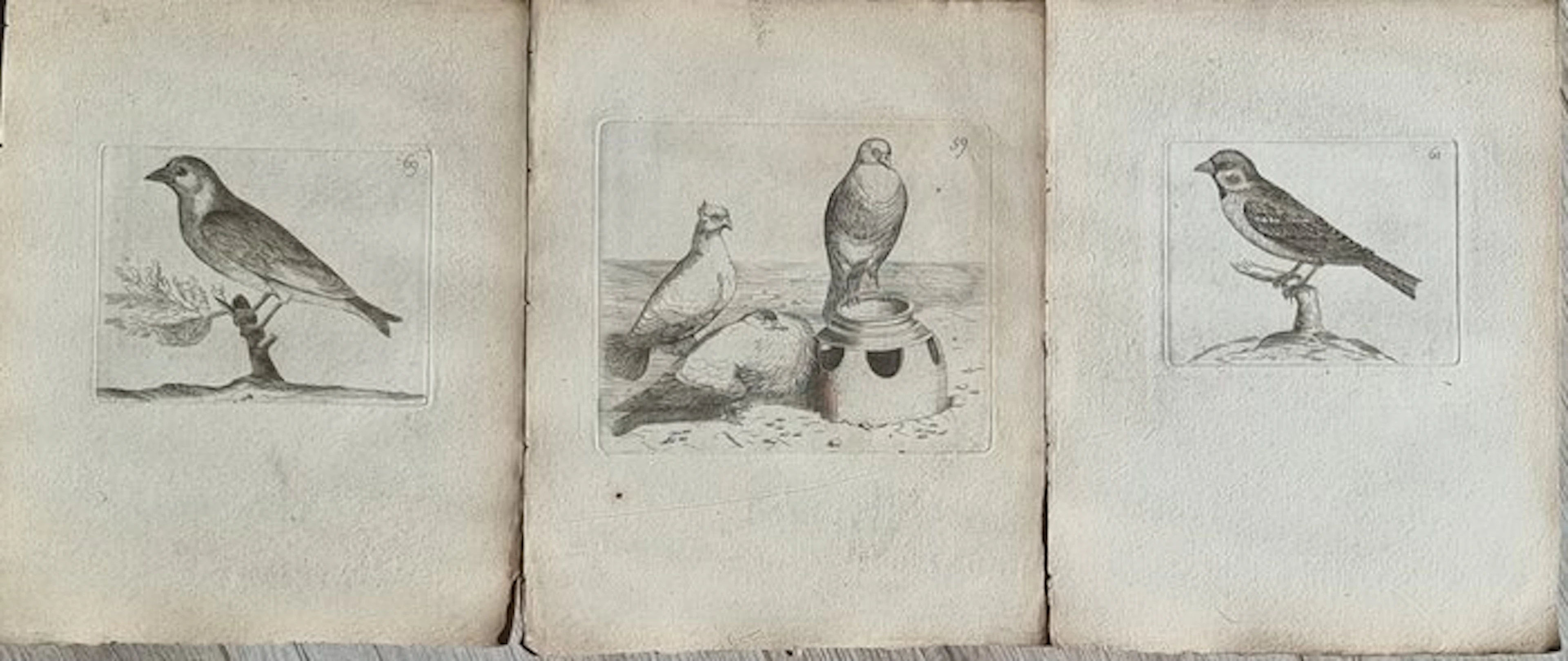 Johann Andreas Naumann (1744 – 1826) - Johann Andreas e...