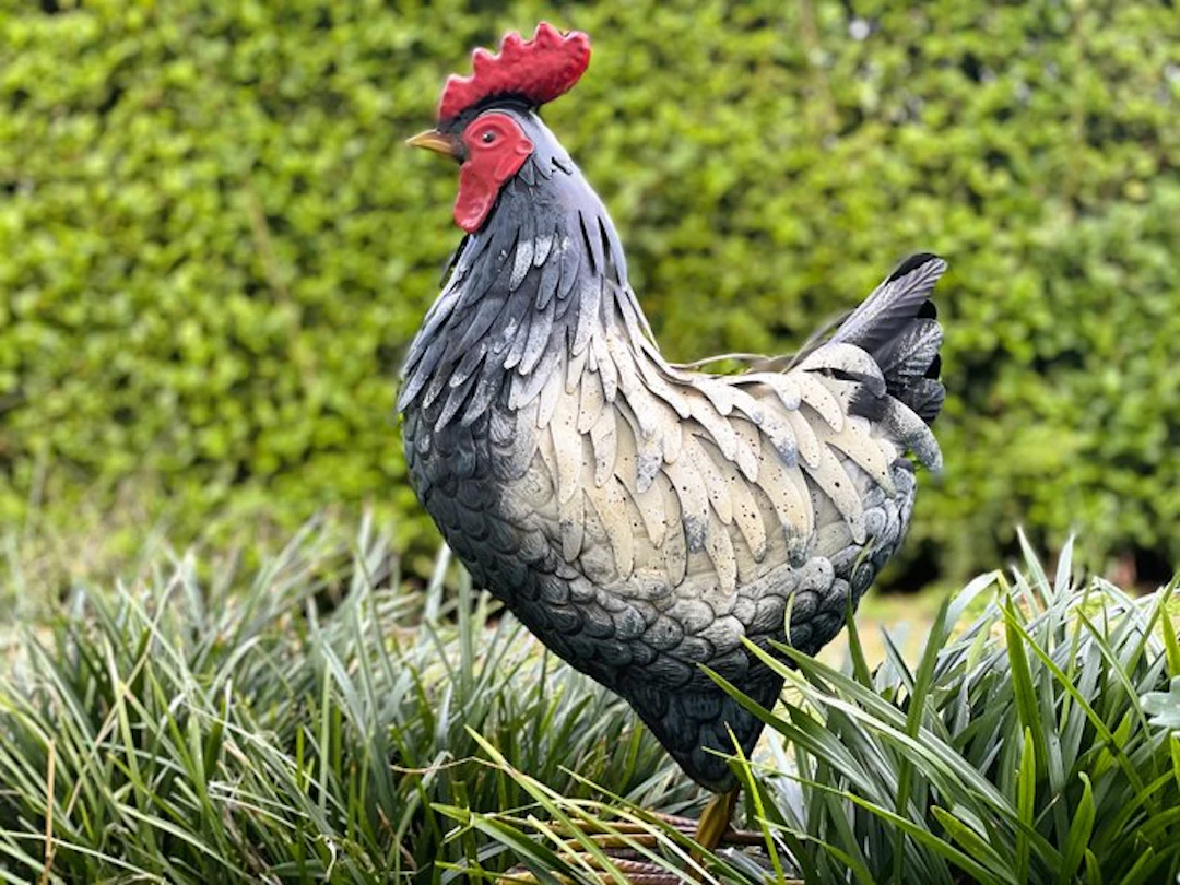 Sculpture, Schitterende hen XL - 53 cm - Iron