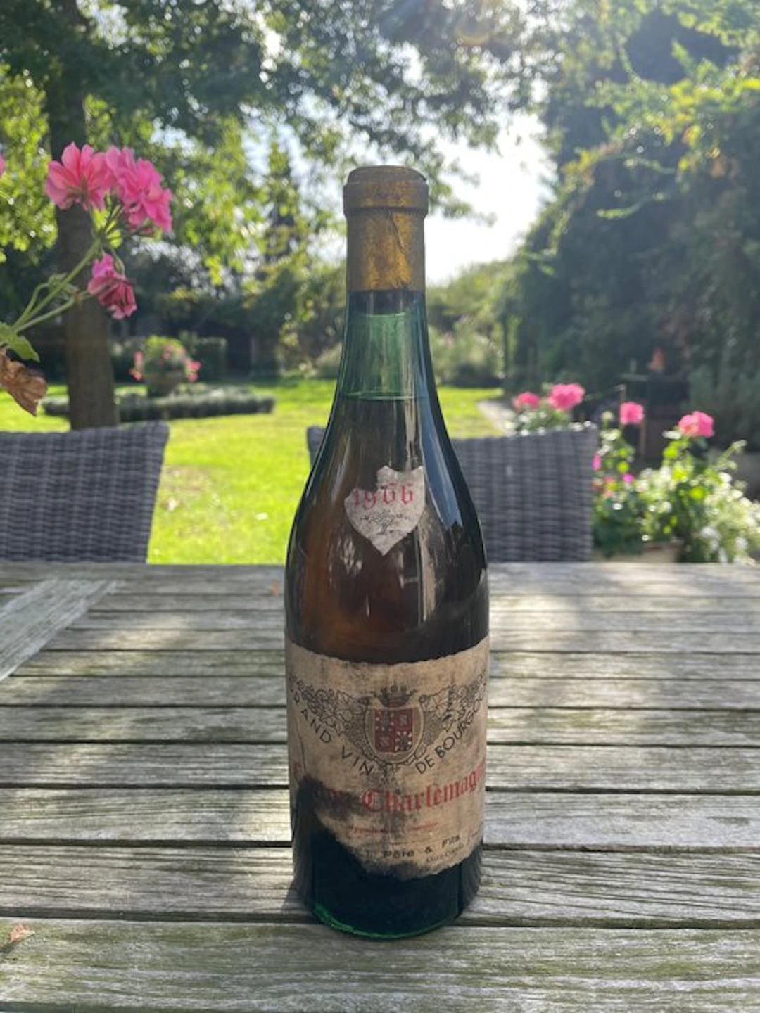 1966 Trapet Père & Fils - Corton Charlemagne Grand Cru - 1 Bottles (0.75L)