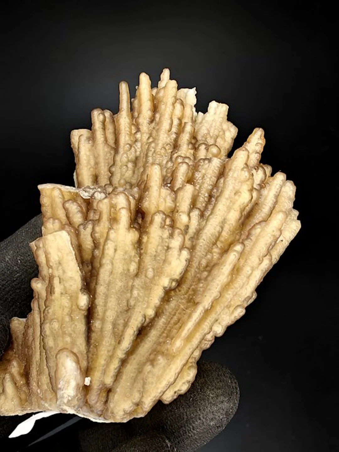 Chalcedony after fossil corals Crystals on matrix...