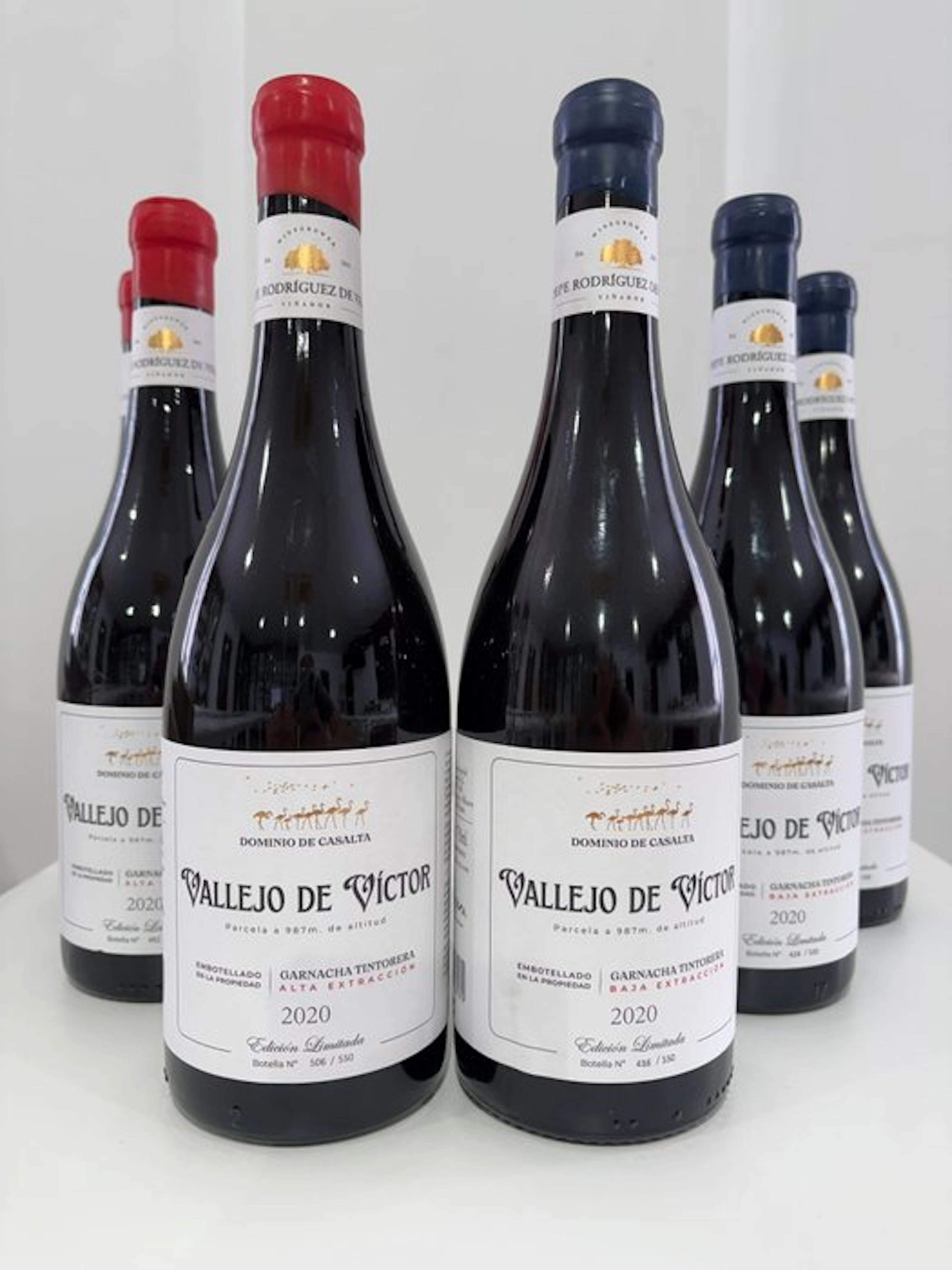 2020 Dominio de Casalta: 'Vallejo de Victor' Garnacha...