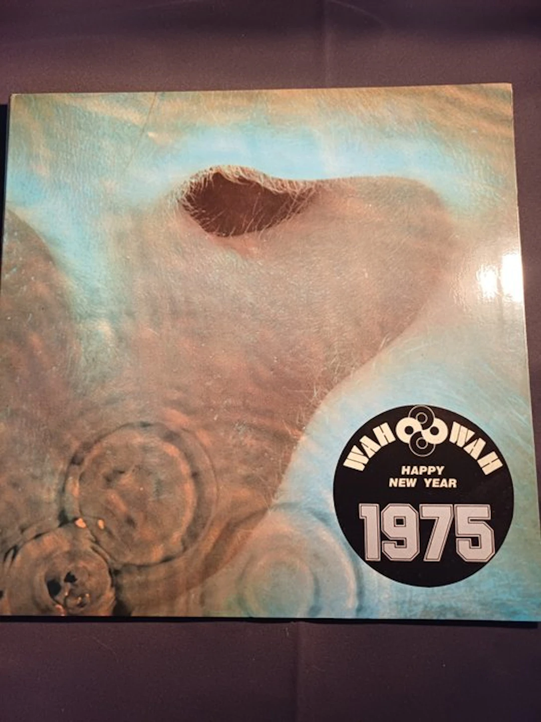 Pink Floyd - Meddle - Vinyl record - Repress - 1972