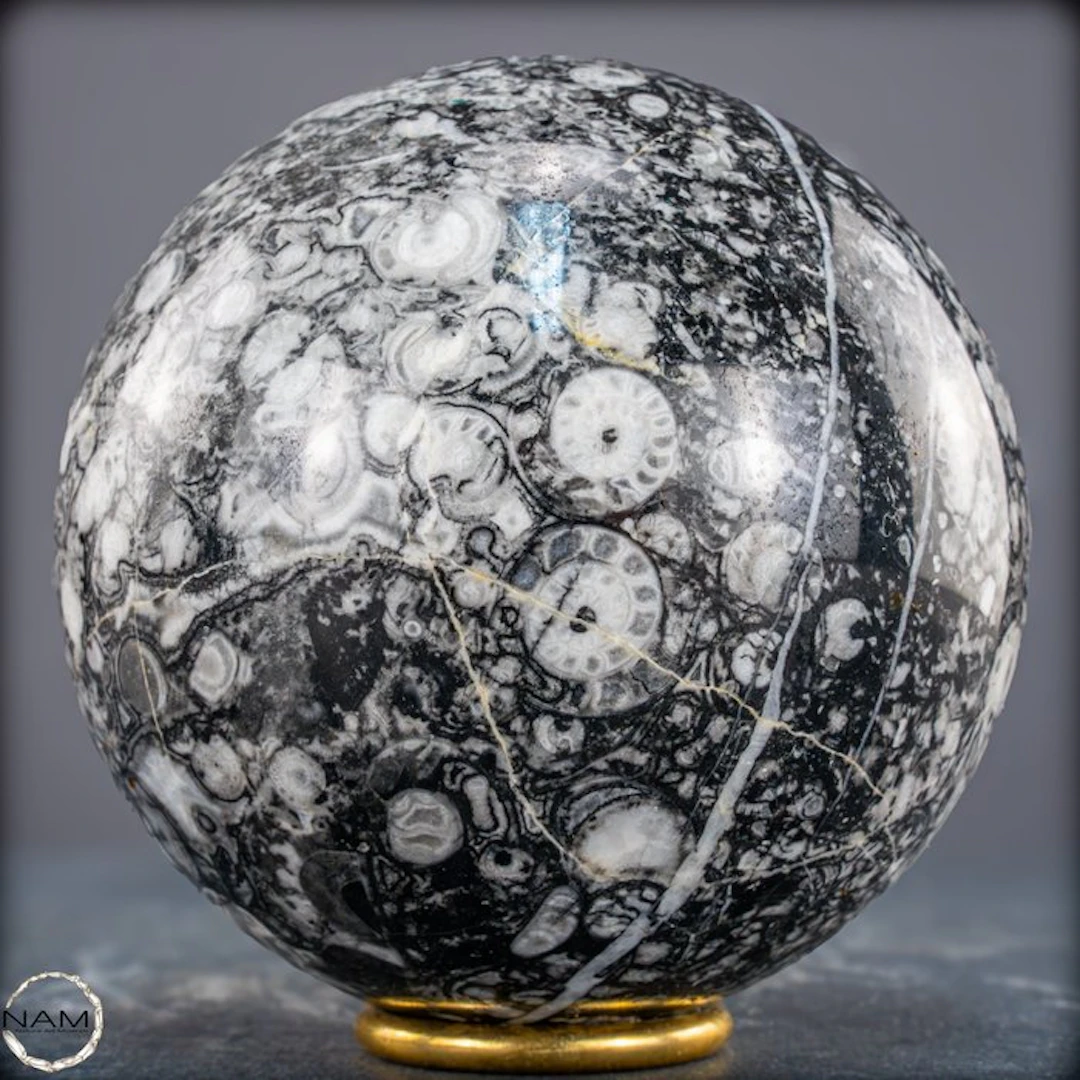 Earth's time capsule – Natural fossil sphere made of...