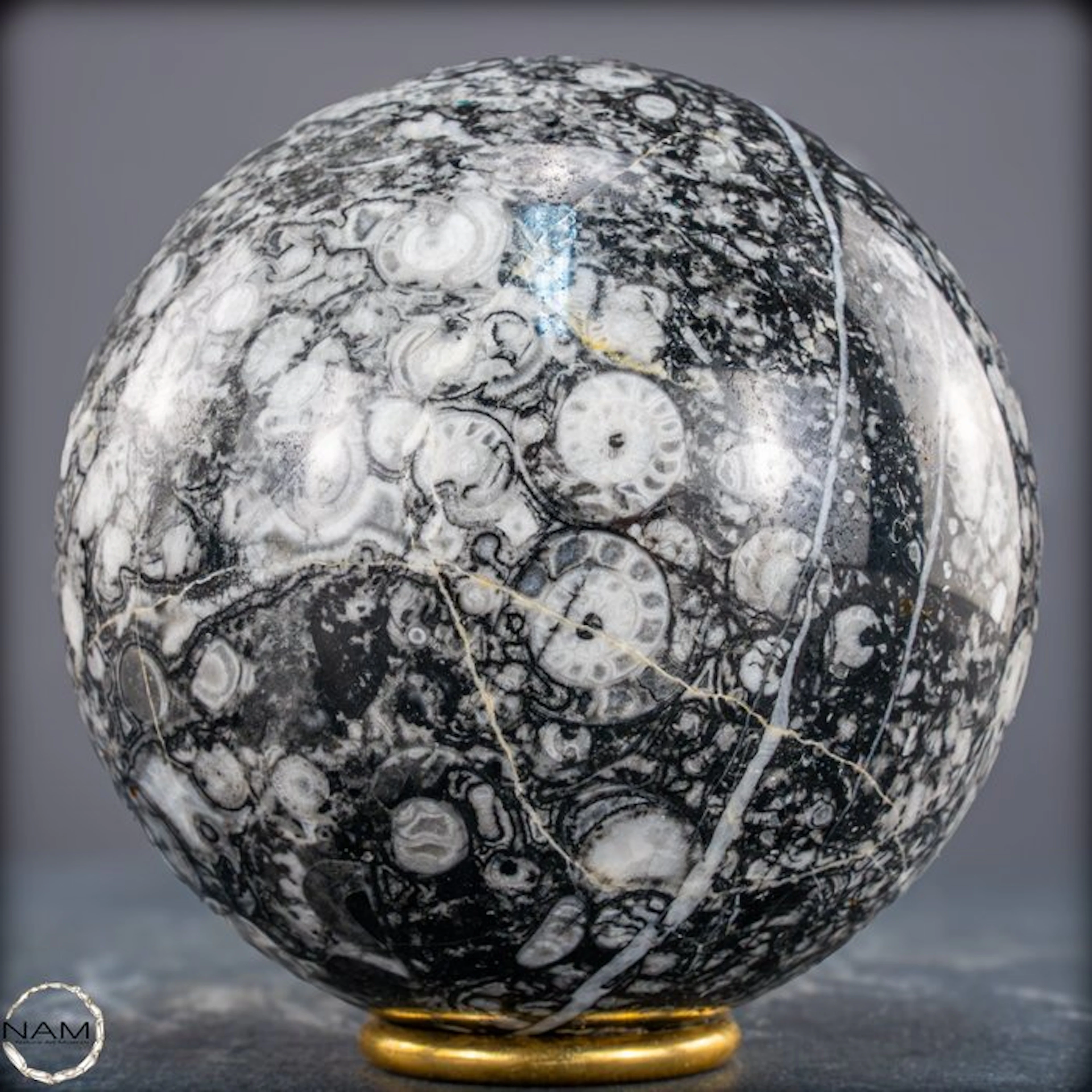 Earth's time capsule – Natural fossil sphere made of...