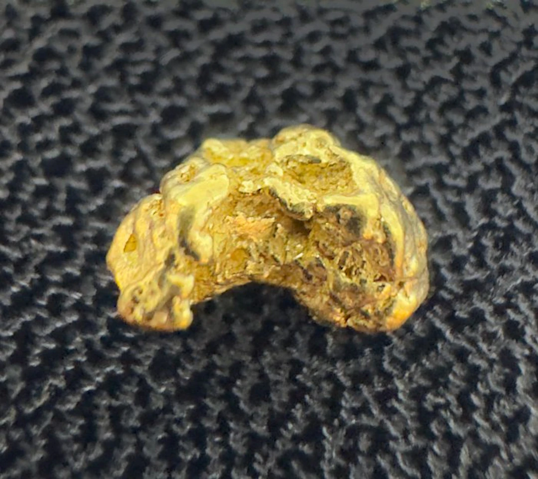 Gold Nugget- 0.31 g - (1)